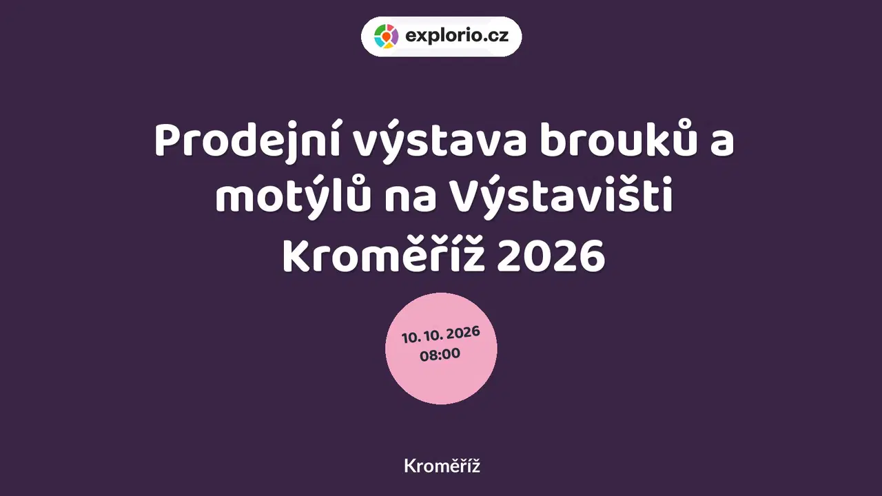 Prodejní výstava brouků a motýlů na Výstavišti Kroměříž 2026 – prohlídky a Muzea, Kroměříž