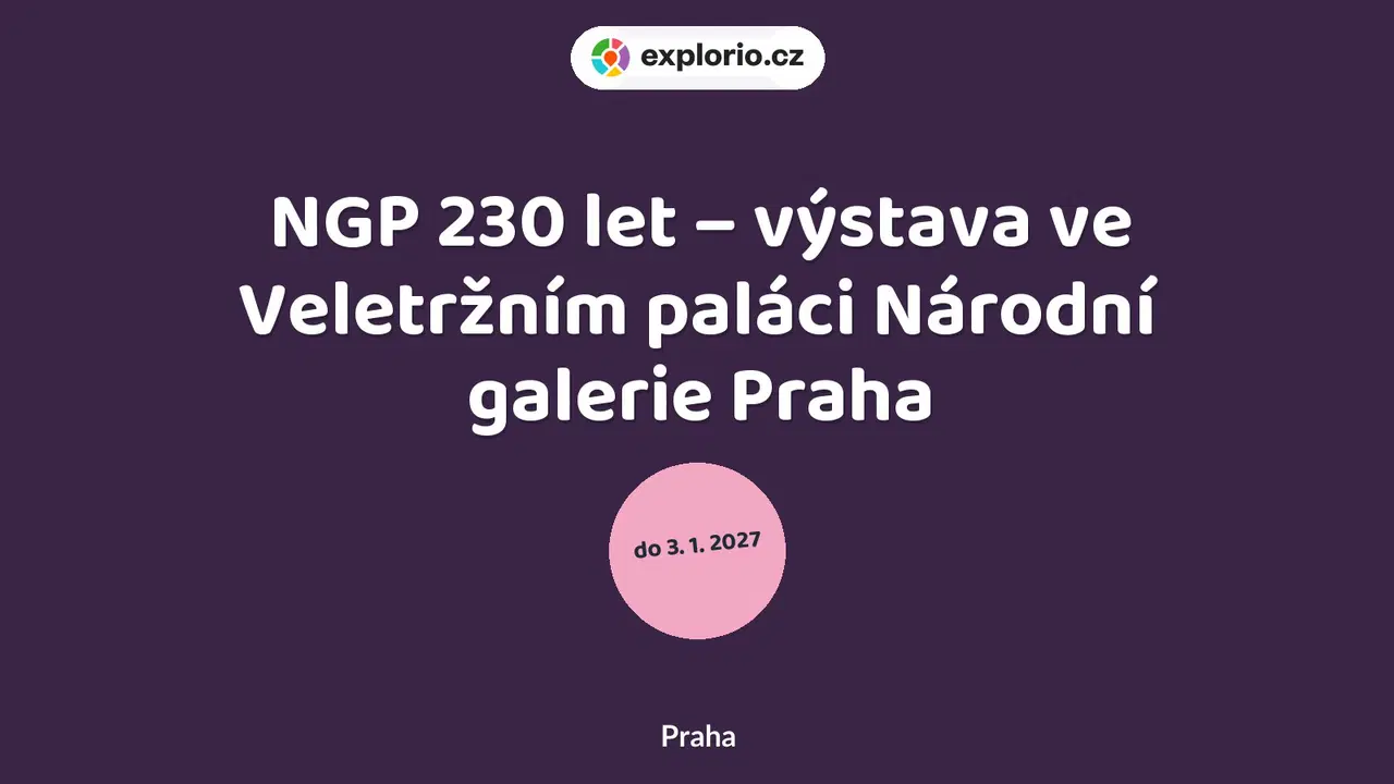 NGP 230 let – výstava ve Veletržním paláci Národní galerie Praha – prohlídky a Muzea, Praha