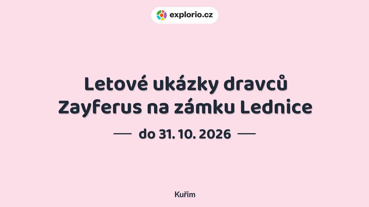 Letové ukázky dravců Zayferus na zámku Lednice – příroda a Zvířátka, Kuřim
