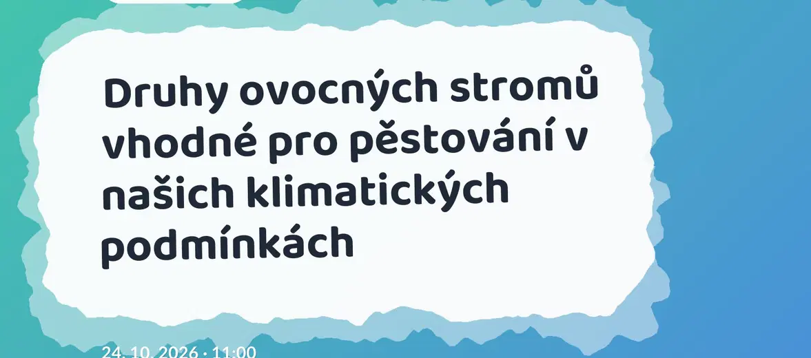 Druhy ovocných stromů vhodné pro pěstování v našich klimatických podmínkách – příroda a Zvířátka, Plzeň