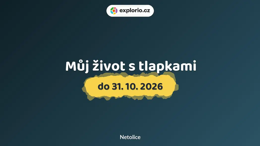 Můj život s tlapkami – prohlídky a Muzea, Netolice