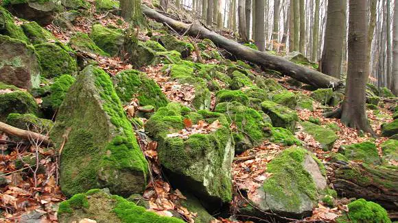 Přírodní park Hostýnské vrchy – příroda, Rusava
