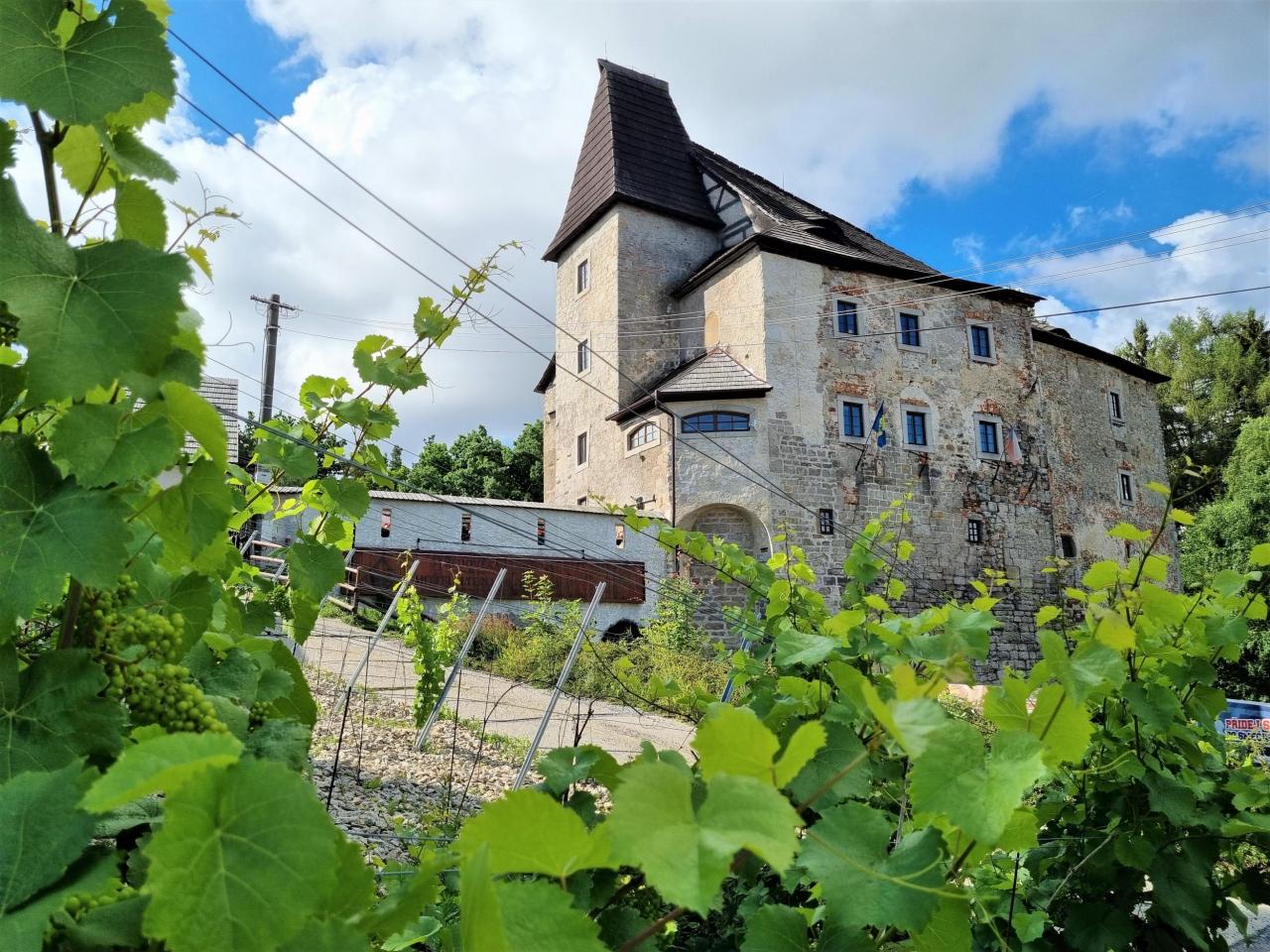 Hrad Vildštejn – penzion, Skalná – fotka 8