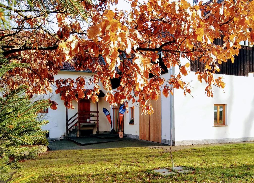 Penzion Jiřičná – penzion, Petrovice u Sušice – fotka 6
