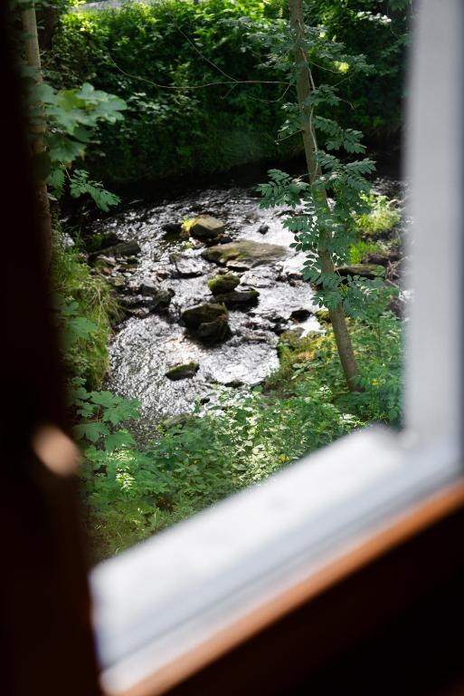 Penzion Jiřičná – penzion, Petrovice u Sušice – fotka 9