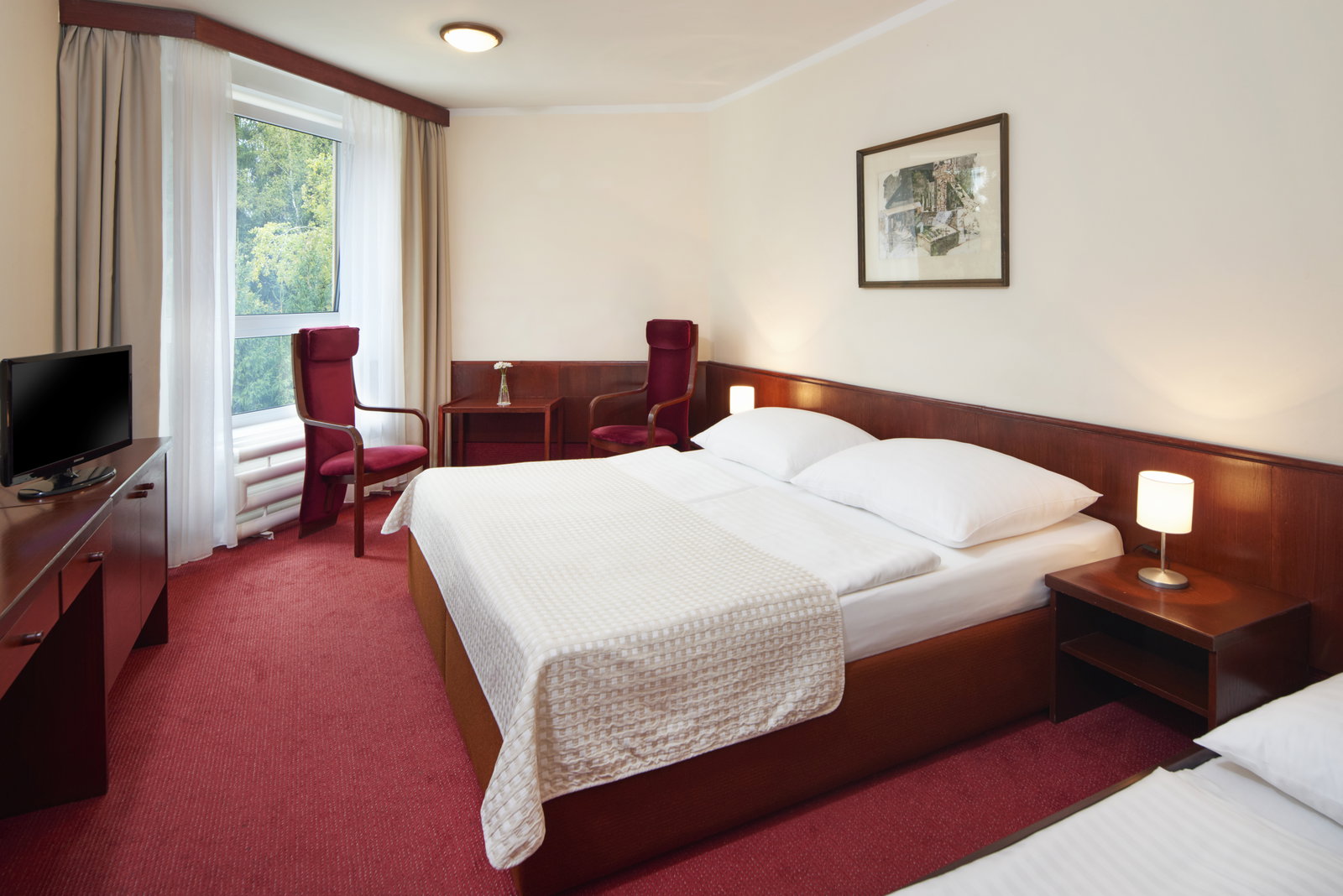 Wellness Hotel Svornost – hotel, Harrachov – fotka 12