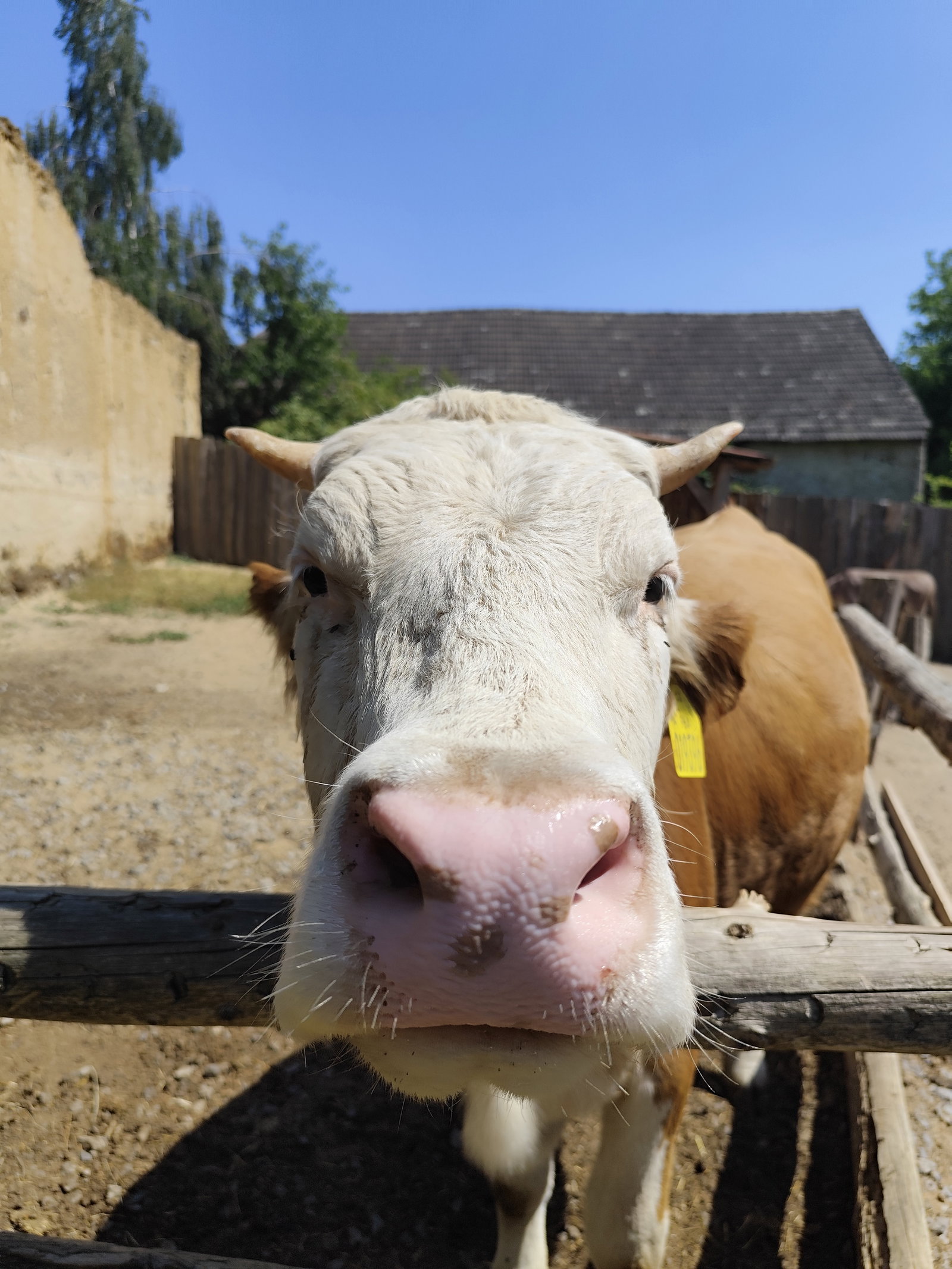 Rodinný zookoutek Nová Říše – zoo a farmy, Vápovice – fotka 17