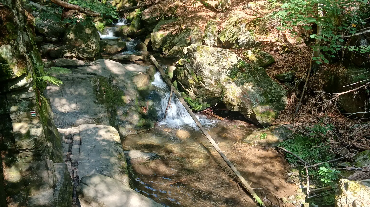 Rešovské vodopády – příroda, Horní Město