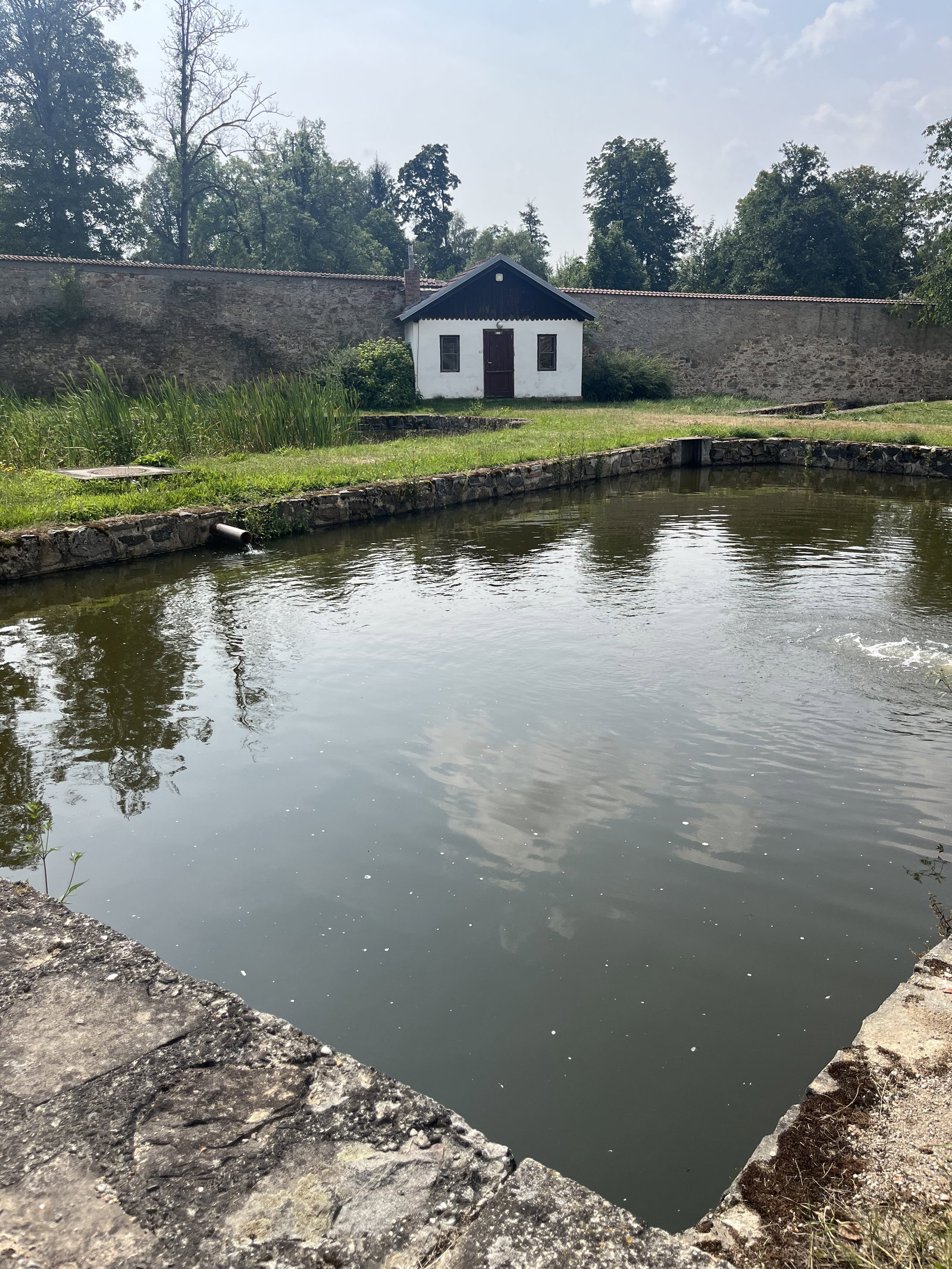 Zámek Žďár nad Sázavou – hrady, zámky, zříceniny, Žďár nad Sázavou – fotka 3