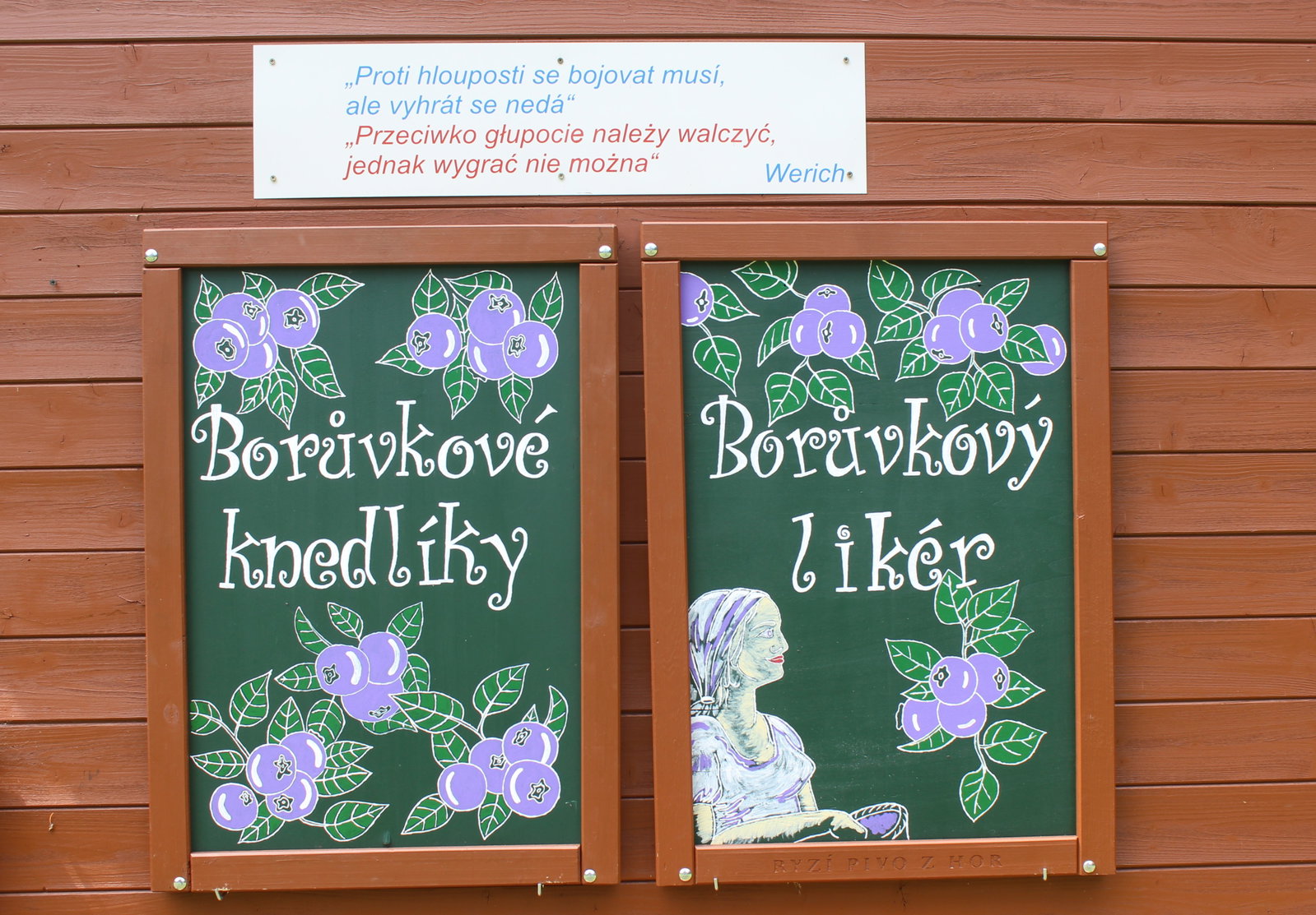 Borůvková hora – rozhledny, Javorník – fotka 7