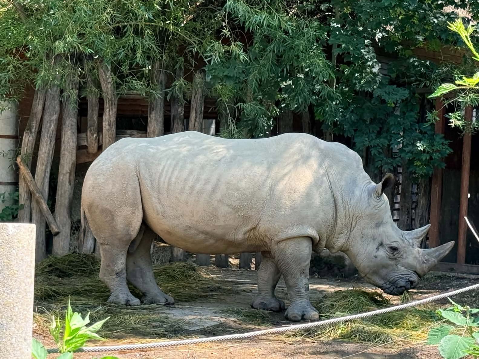 Zoo Zlín - Lešná – zoo a farmy, Zlín – fotka 2