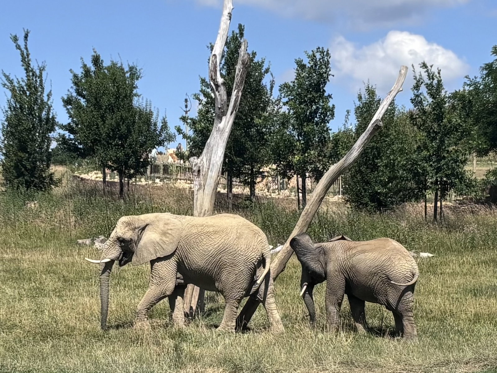 Zoo Zlín - Lešná – zoo a farmy, Zlín – fotka 3