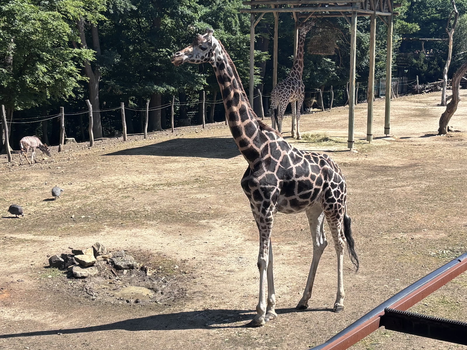 Zoo Zlín - Lešná – zoo a farmy, Zlín – fotka 4