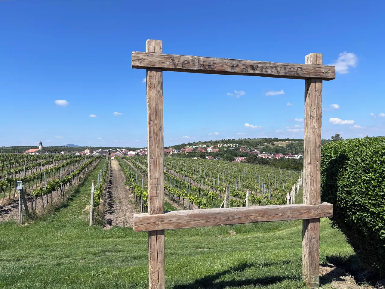 Rozhledna Slunečná – rozhledny, Velké Pavlovice – fotka 2