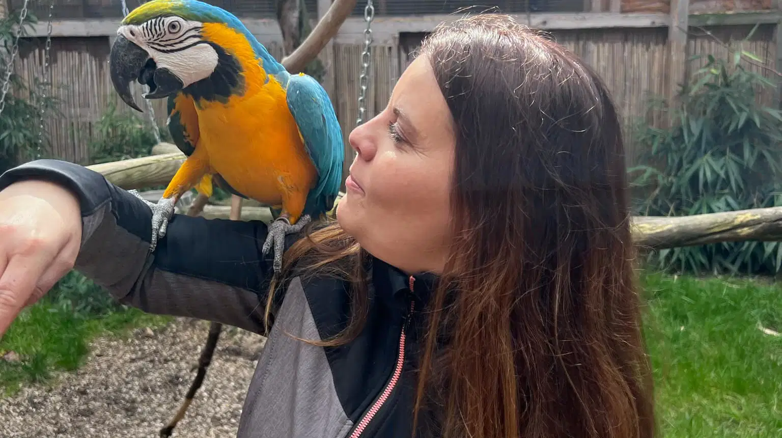 Záchranná stanice Papouščí ráj – zoo a farmy, Jesenice