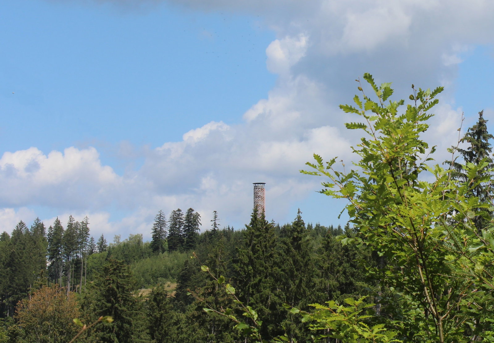 Rozhledna Vartovna – rozhledny, Jasenná – fotka 2