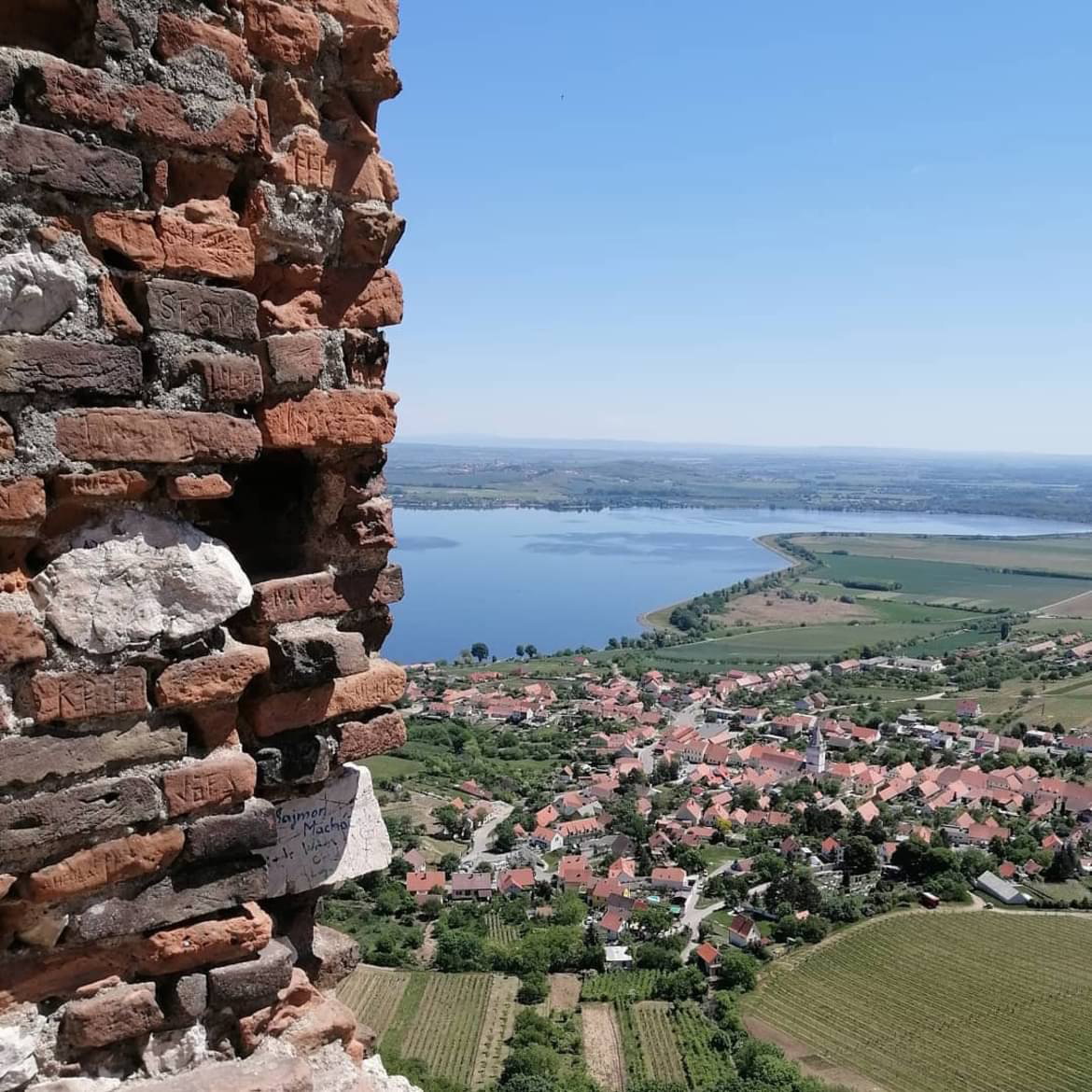 CHKO Pálava - zřícenina hradu Děvičky – příroda, Dolní Věstonice – fotka 2