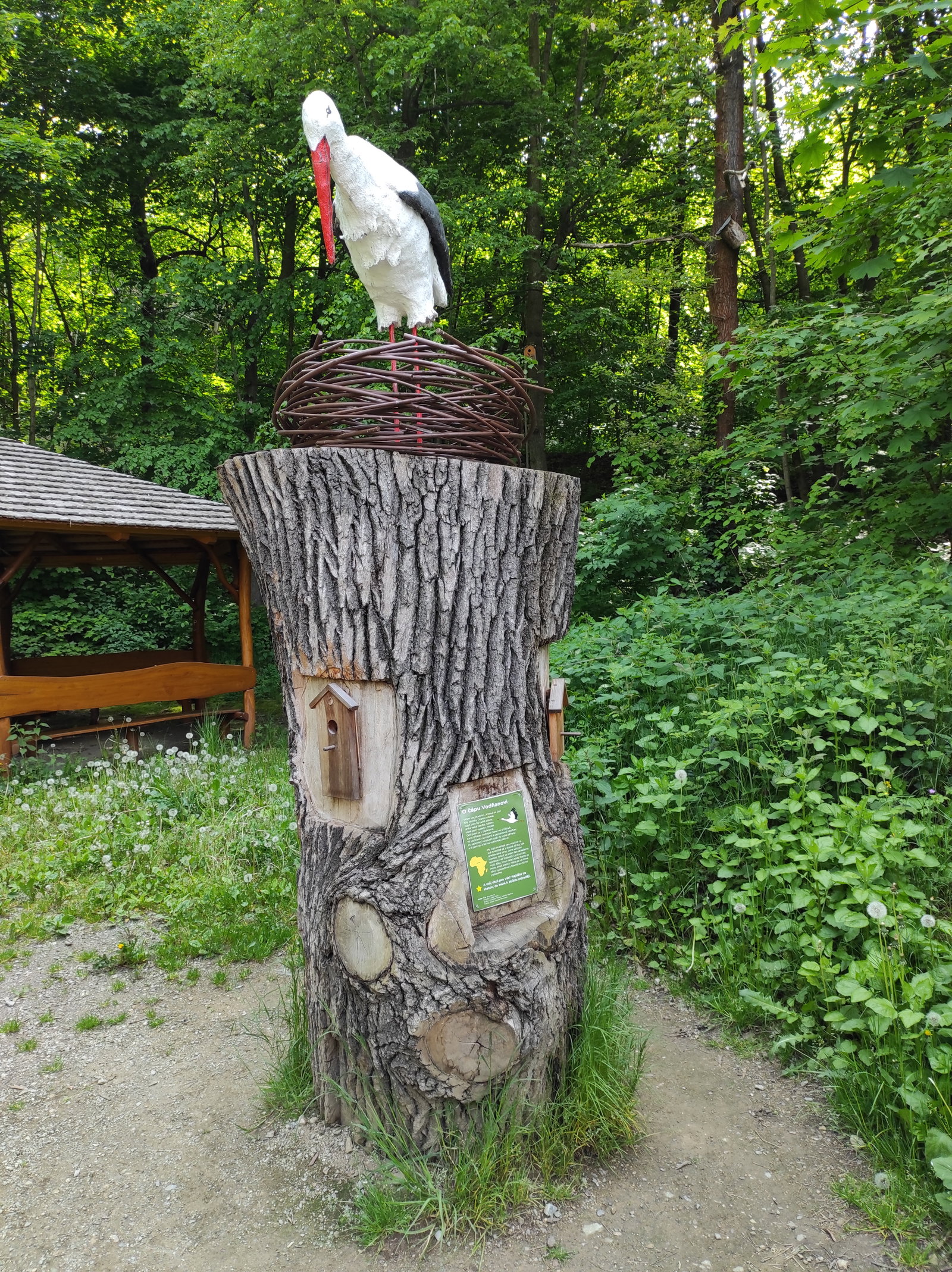 Stezka čápa Vodňana – naučné stezky, Vodňany – fotka 5
