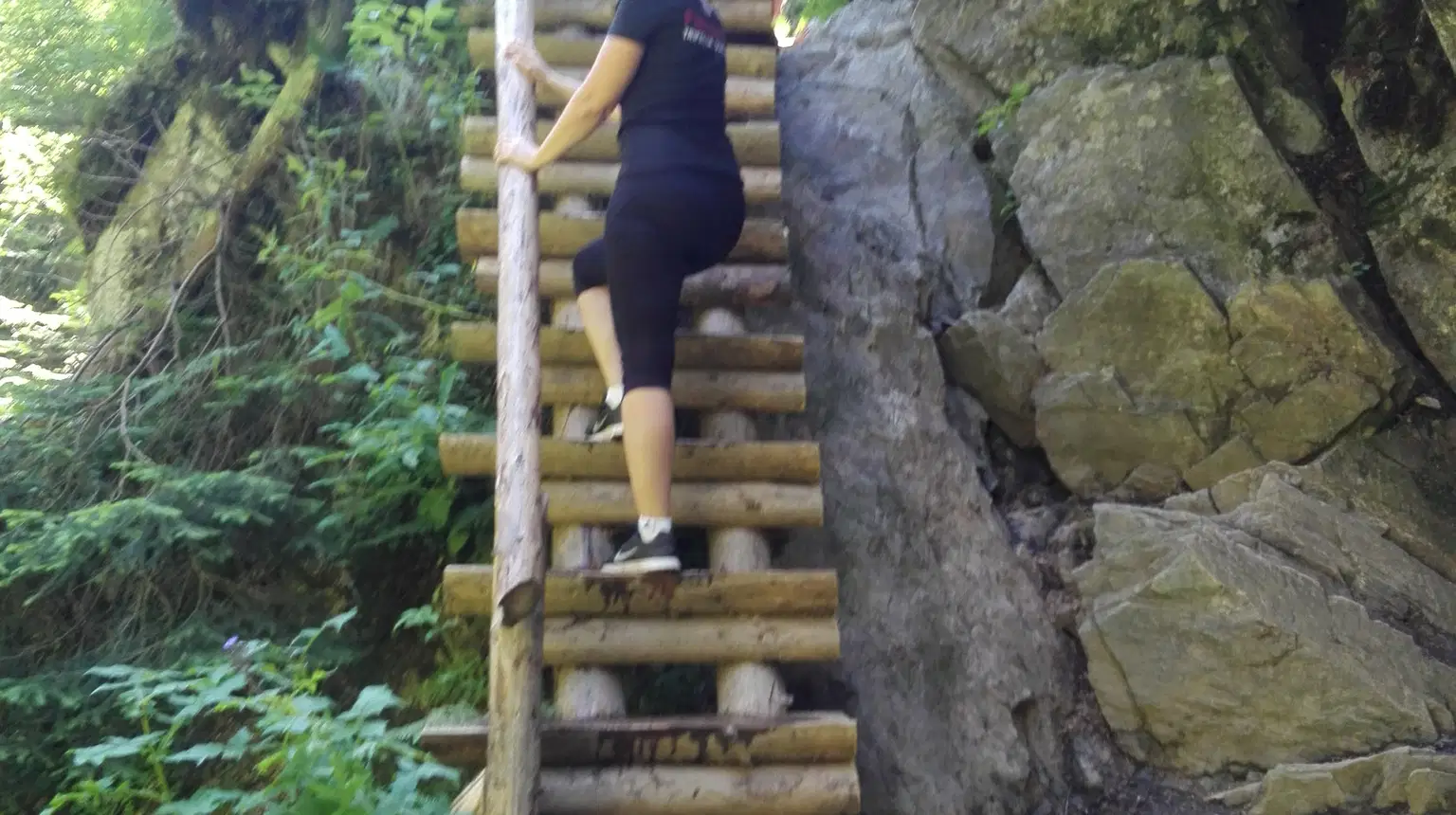 Naučná stezka Bílá Opava – naučné stezky, Karlova Studánka