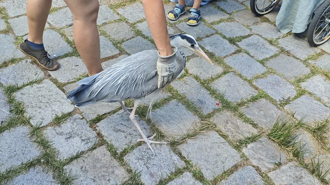 Ekocentrum Vydra – zoo a farmy, Třeboň