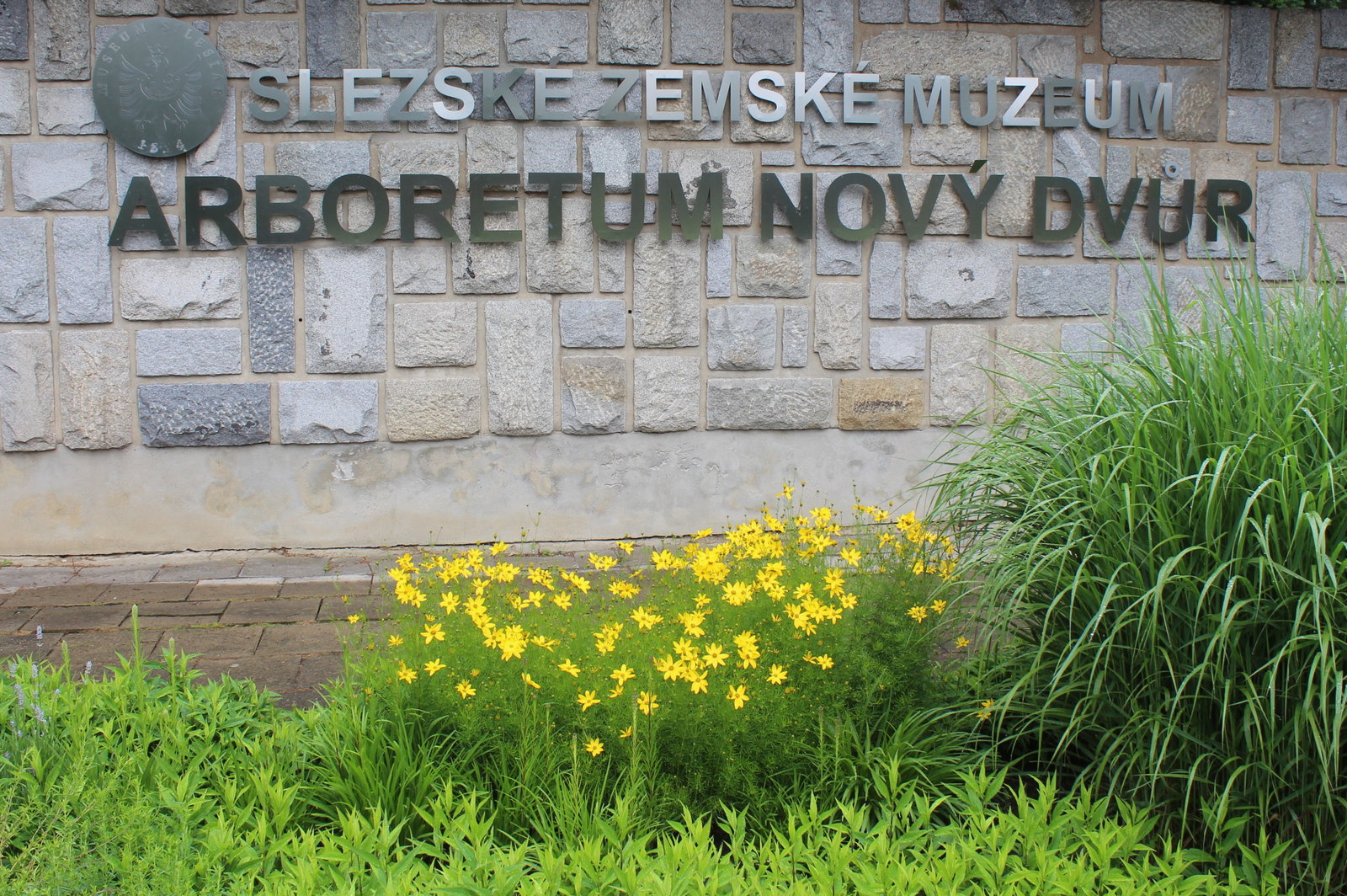 Arboretum Nový Dvůr – příroda, Stěbořice – fotka 2