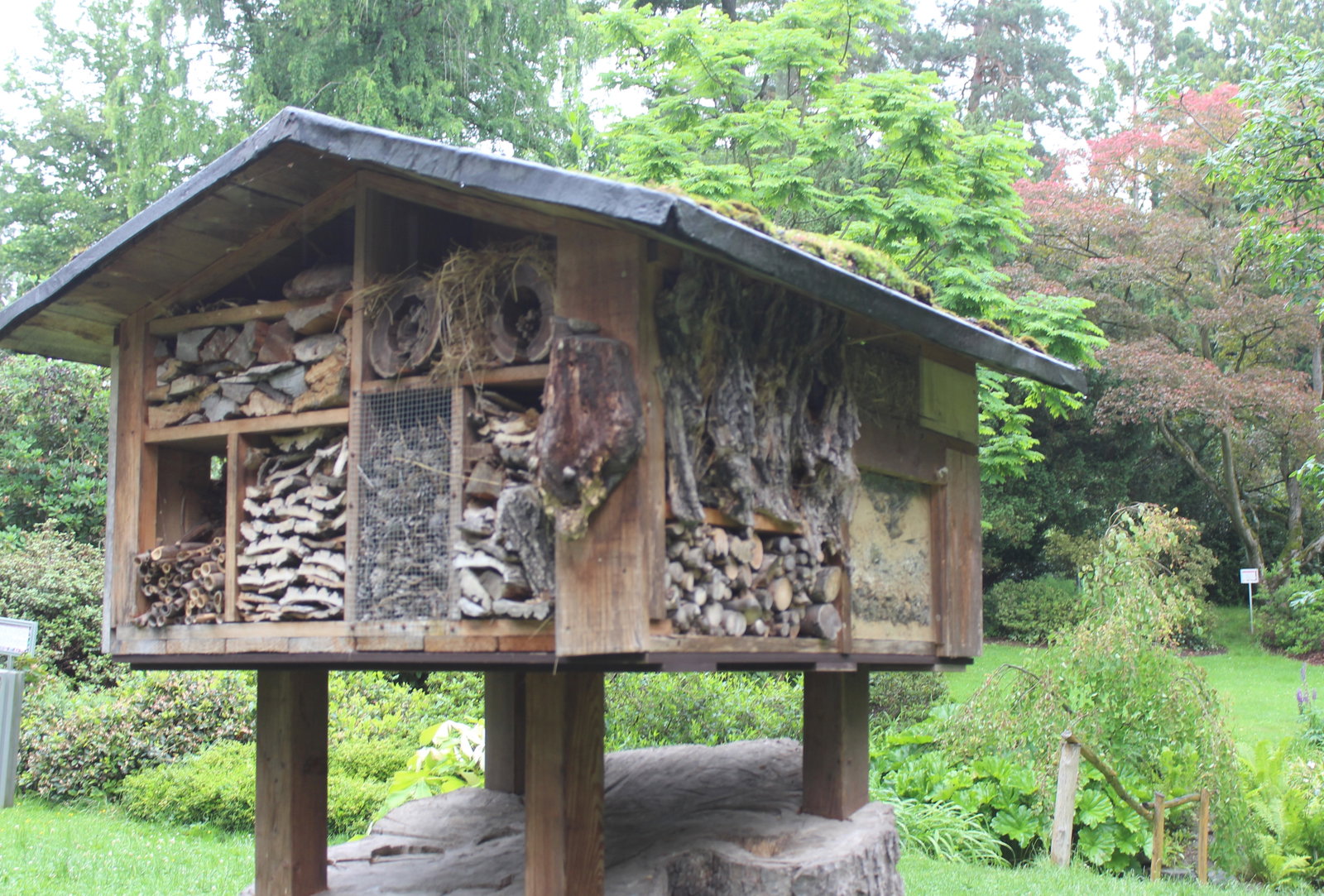Arboretum Nový Dvůr – příroda, Stěbořice – fotka 6