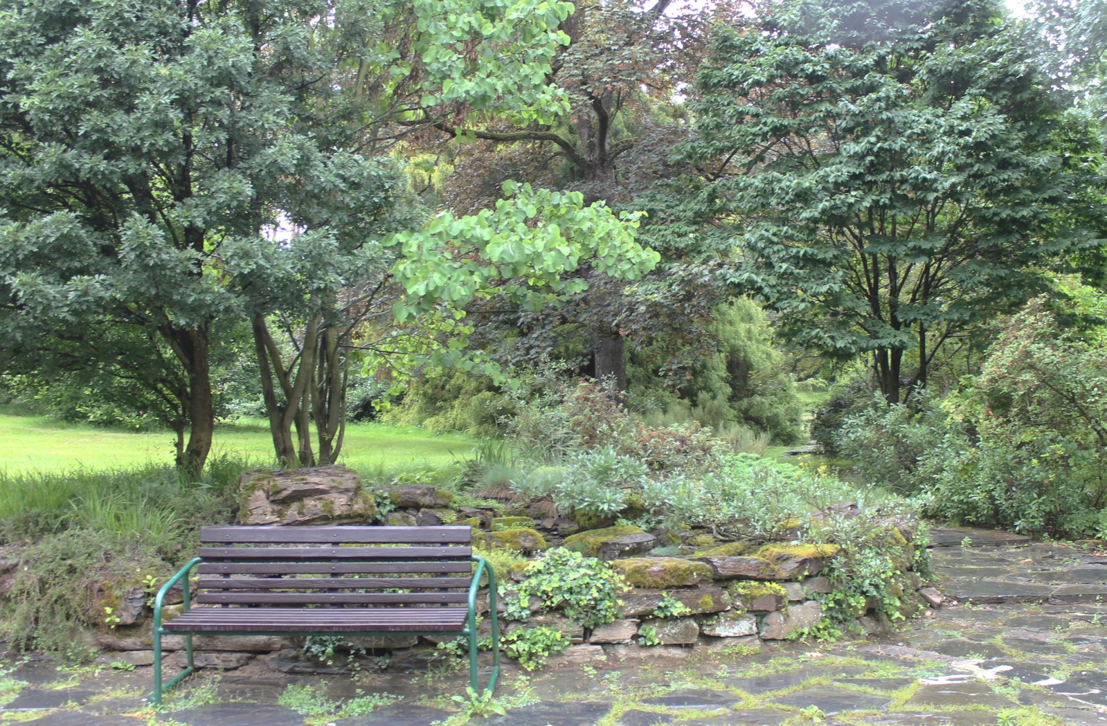 Arboretum Nový Dvůr – příroda, Stěbořice – fotka 7