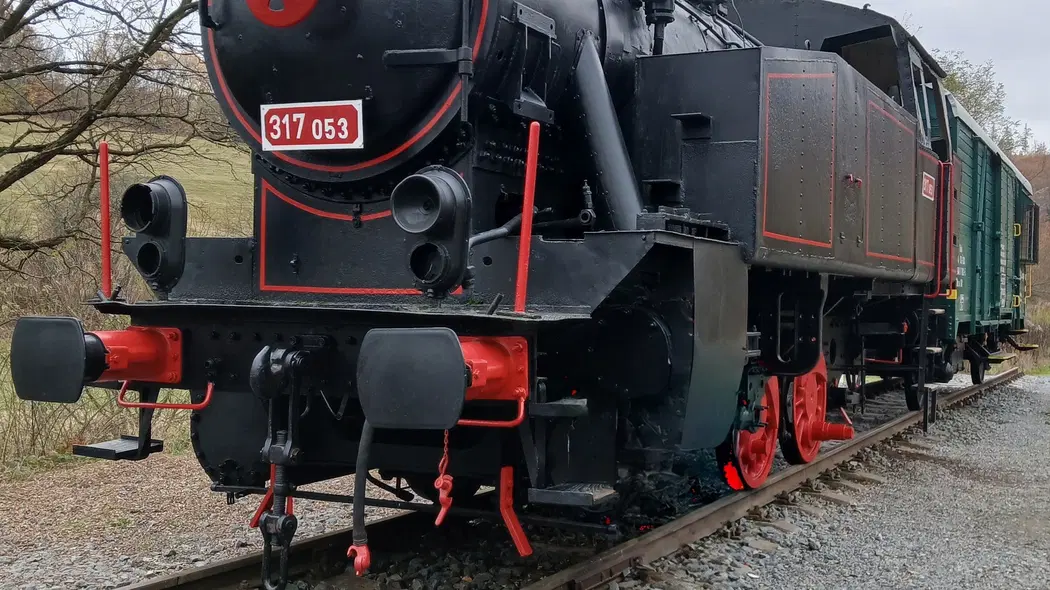 Železniční skanzen Lupěné – příroda, Nemile