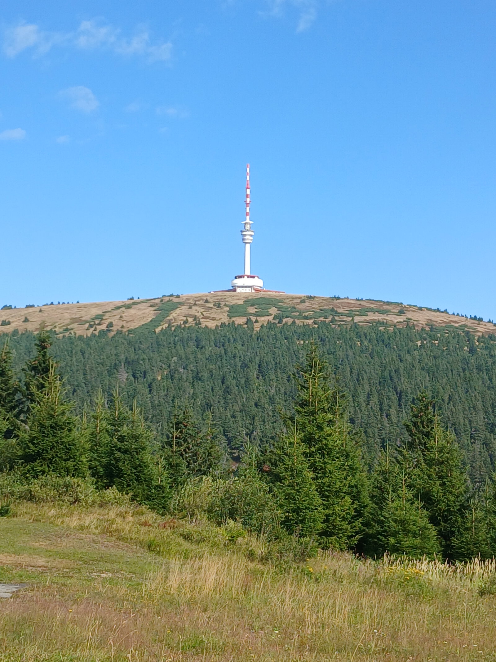 Praděd – příroda, Malá Morávka – fotka 8