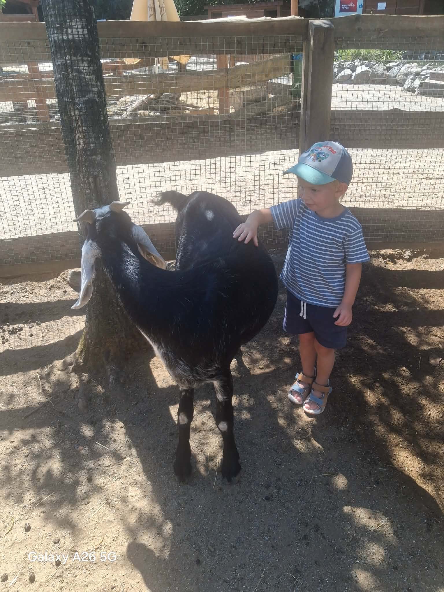 Farmapark u Toma – zoo a farmy, Ledce