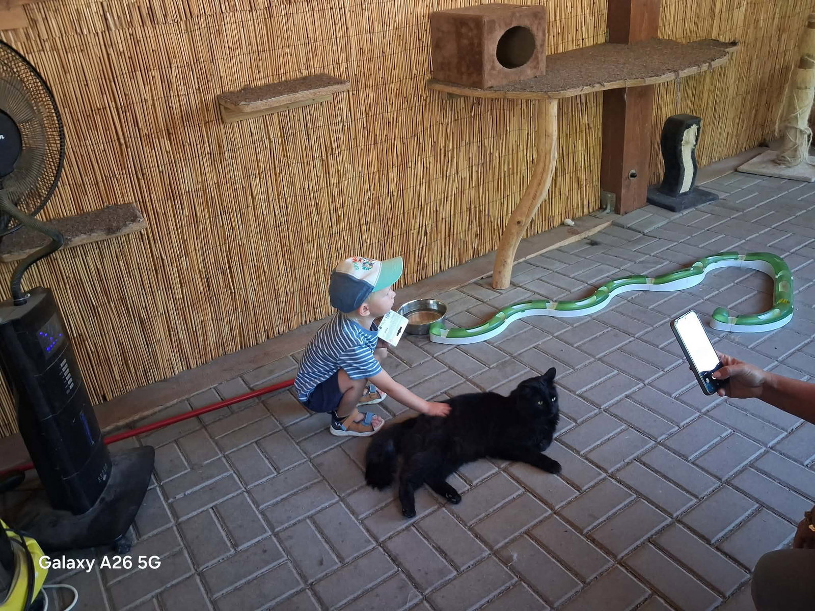 Farmapark u Toma – zoo a farmy, Ledce – fotka 6