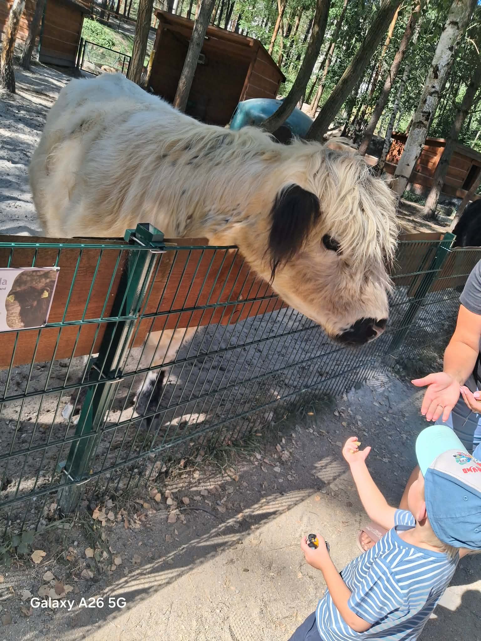 Farmapark u Toma – zoo a farmy, Ledce – fotka 8