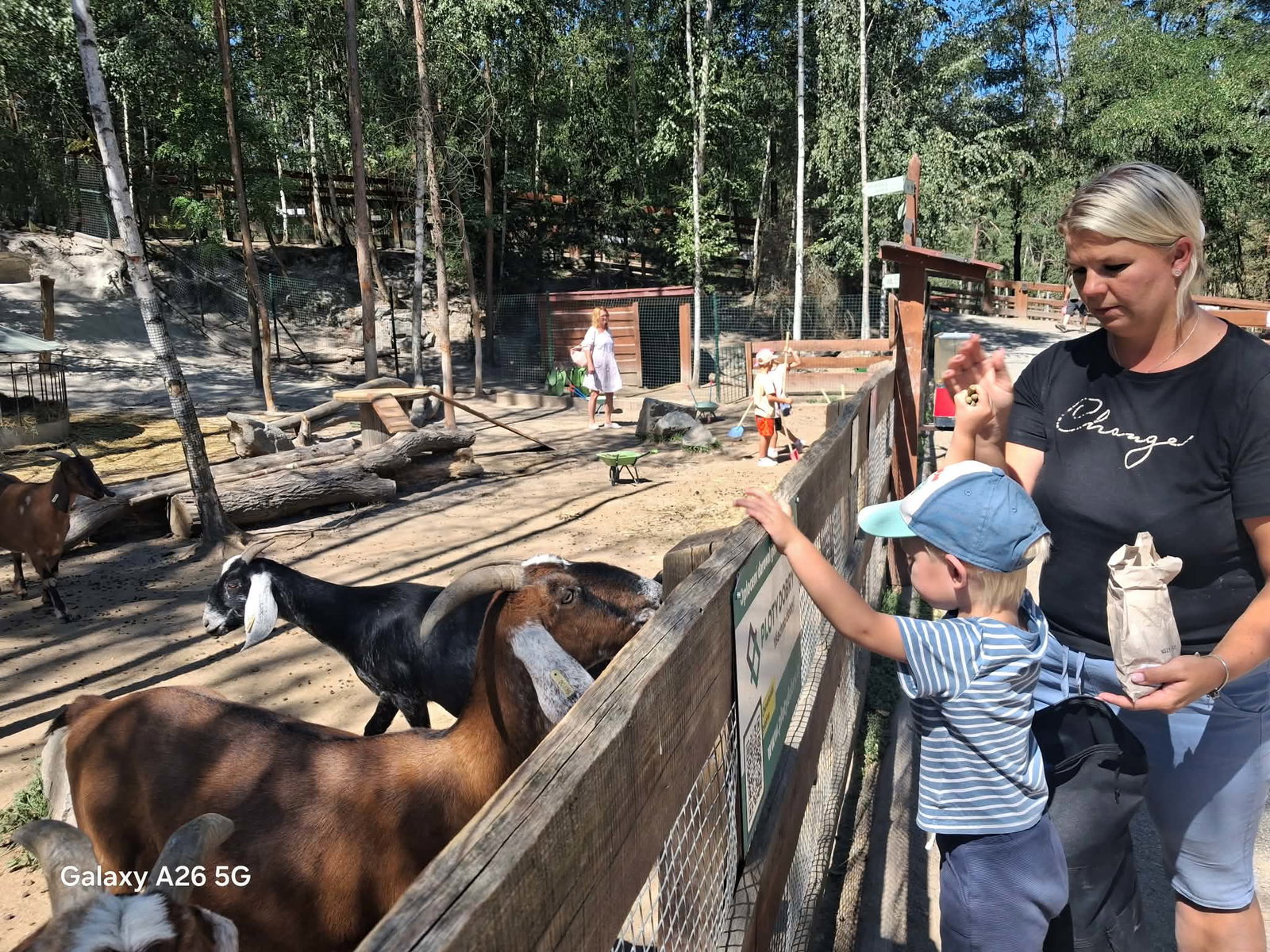 Farmapark u Toma – zoo a farmy, Ledce – fotka 11