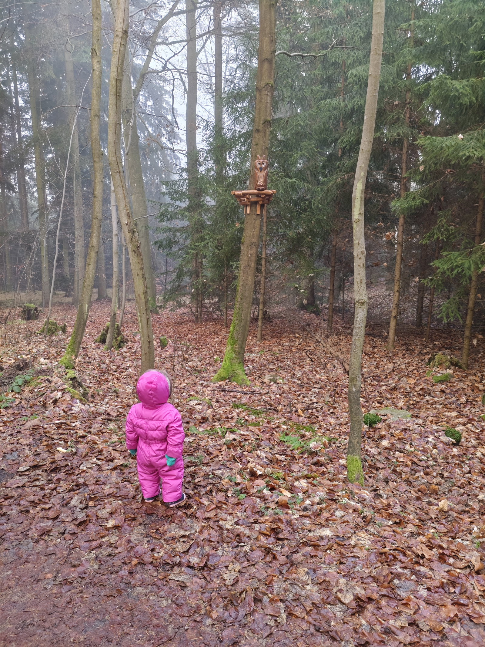 Lesní stezkou s Pimonem – naučné stezky, Písek – fotka 3
