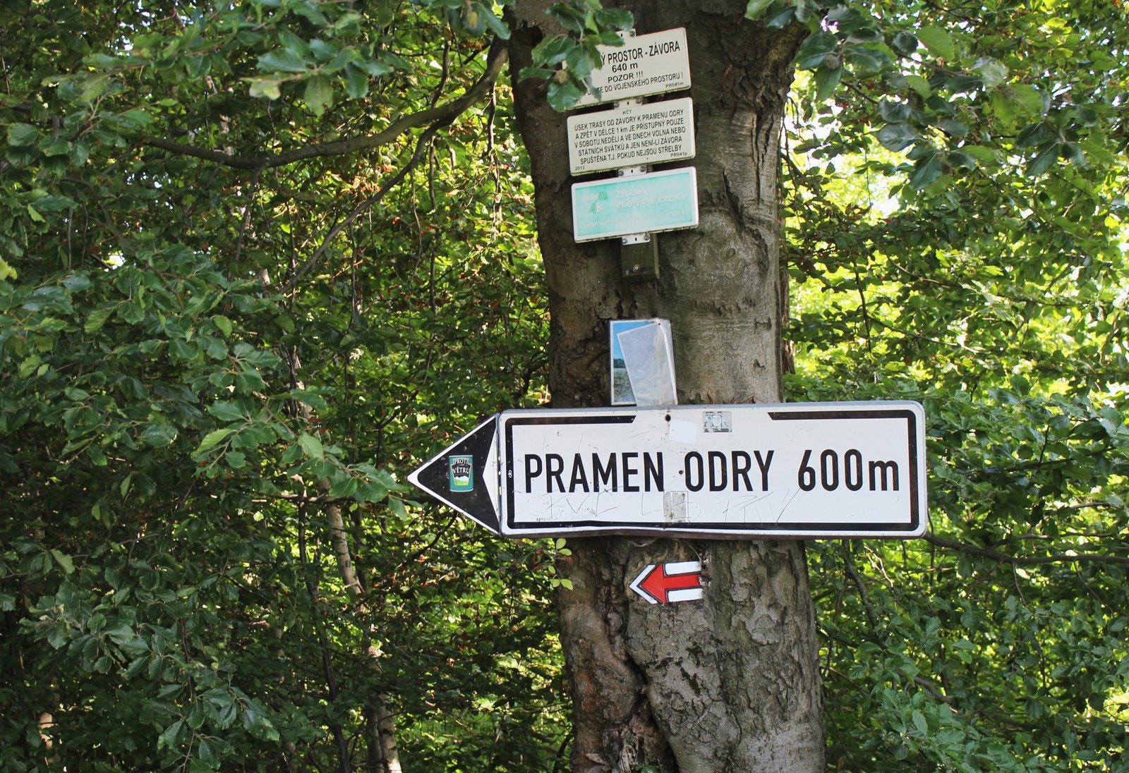 Pramen řeky Odry – příroda, Kozlov – fotka 3