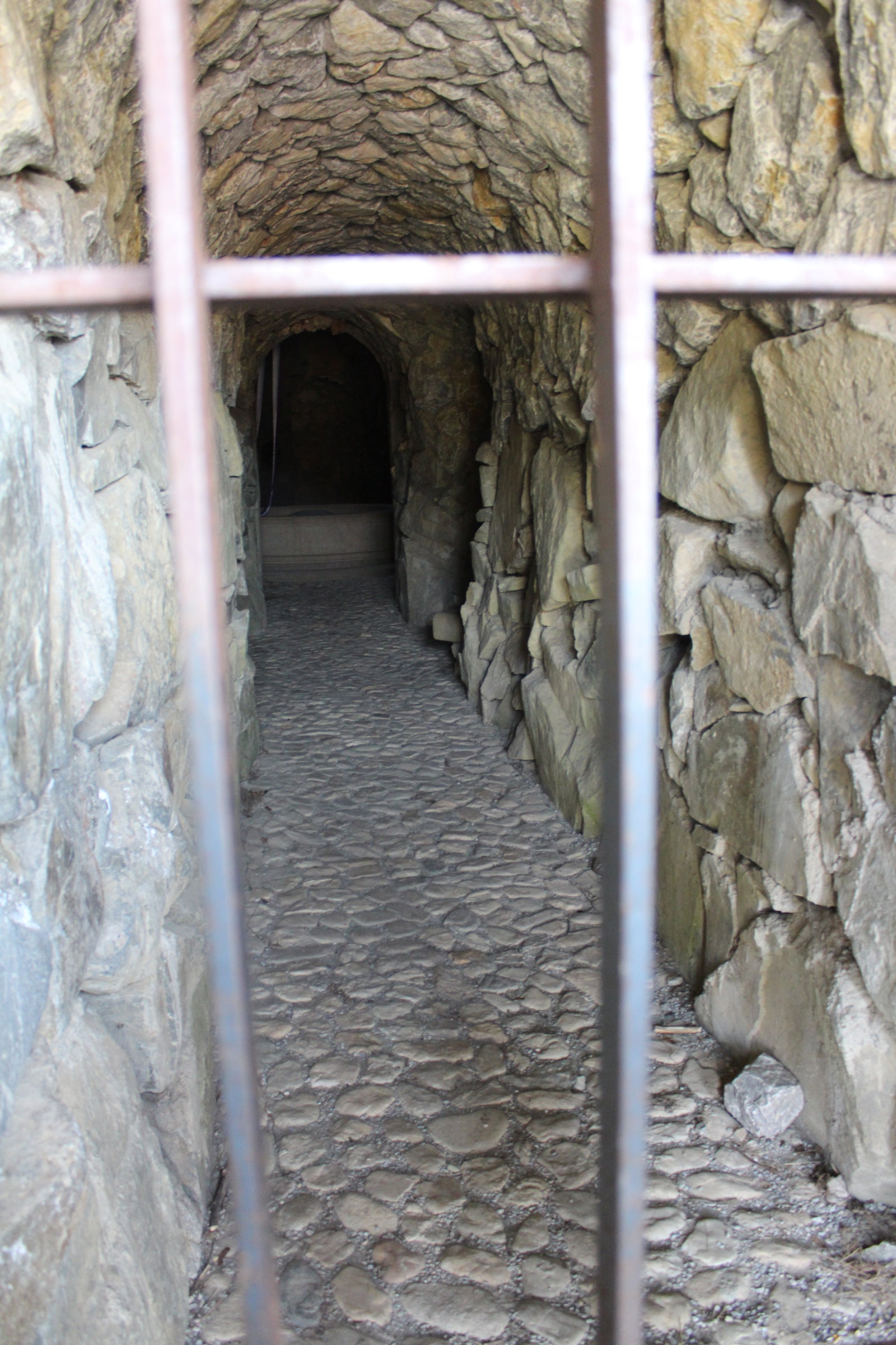Dům přírody Litovelského Pomoraví – zážitkové areály, Horka nad Moravou – fotka 8