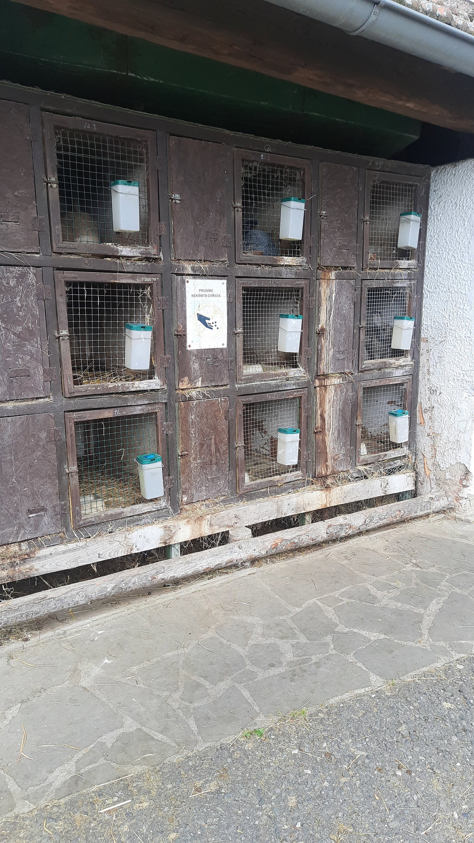 Babiččin dvoreček – zoo a farmy, Doudleby nad Orlicí – fotka 2
