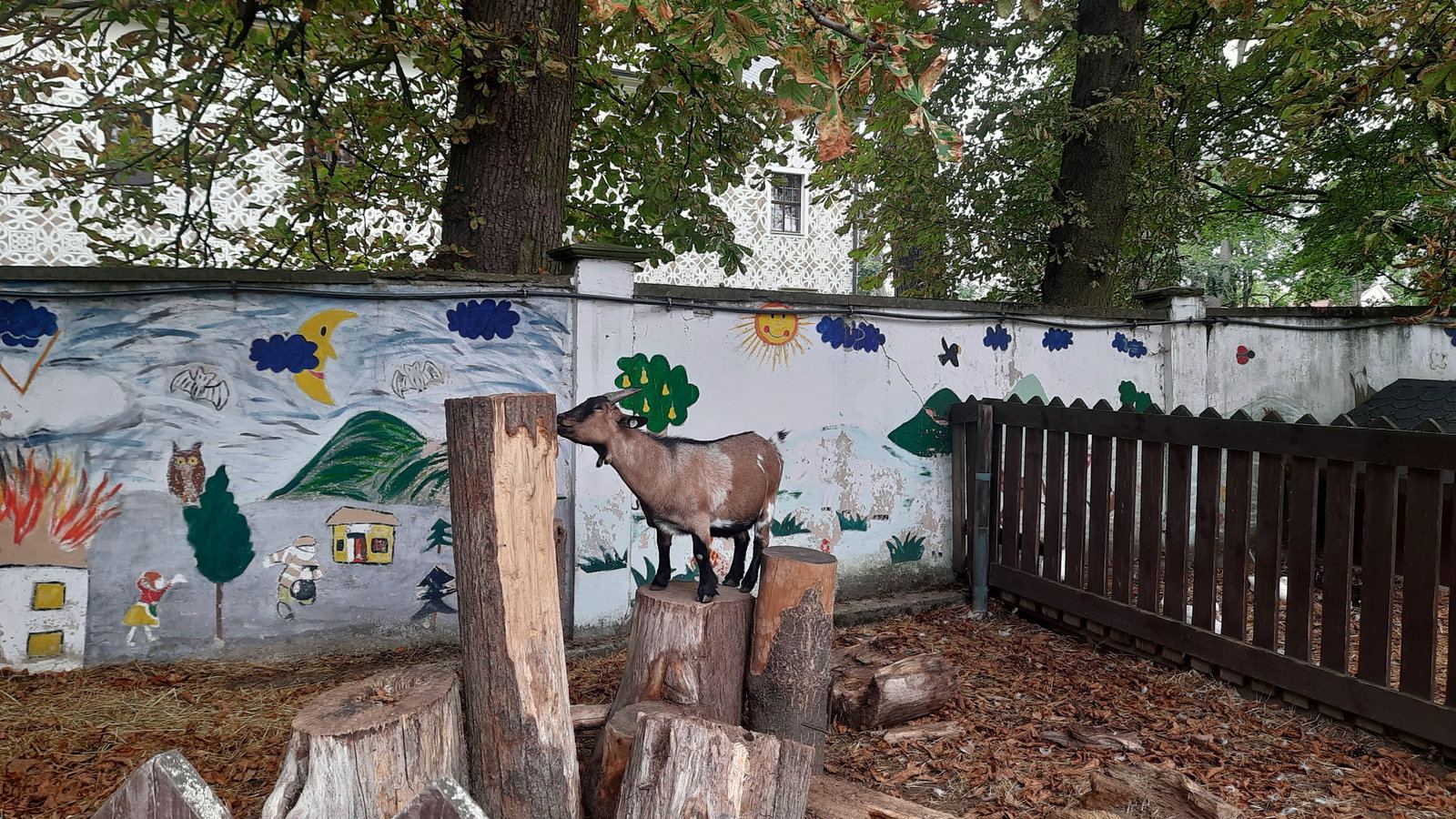 Babiččin dvoreček – zoo a farmy, Doudleby nad Orlicí – fotka 3