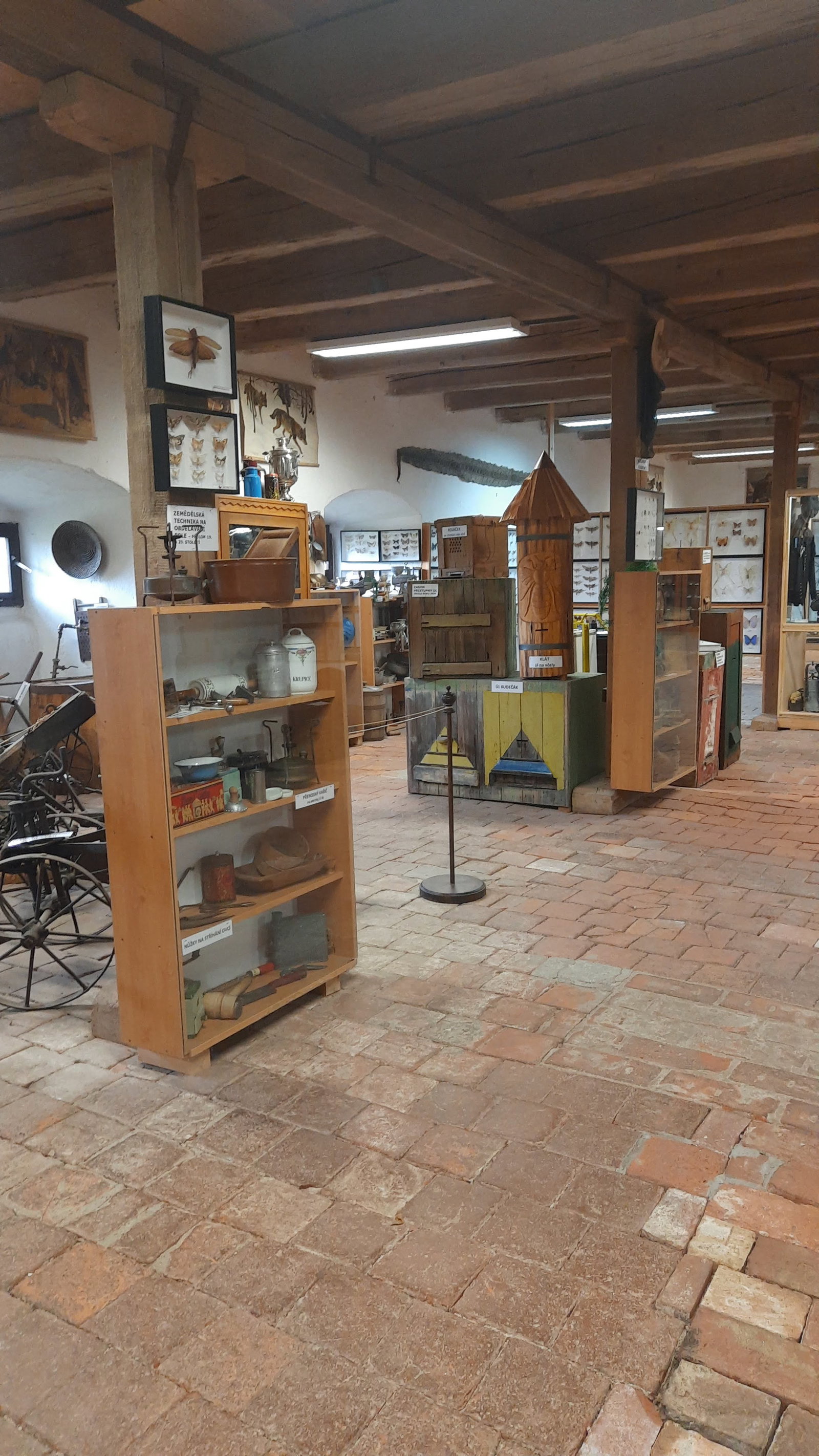Muzeum přírodovědy a venkova; Muzeum trampingu – muzea, Doudleby nad Orlicí – fotka 2