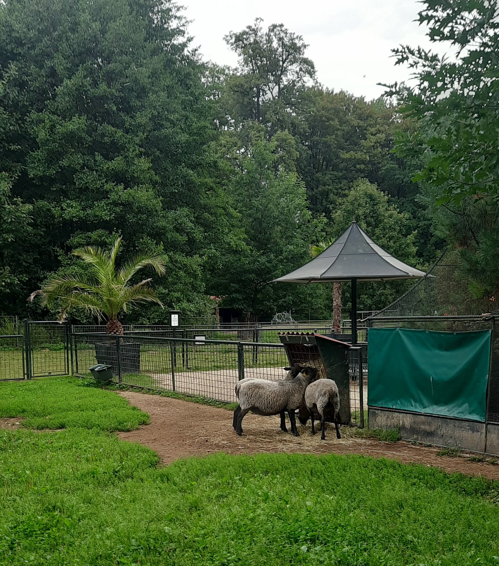 Minizoo Častolovice – zoo a farmy, Častolovice – fotka 2