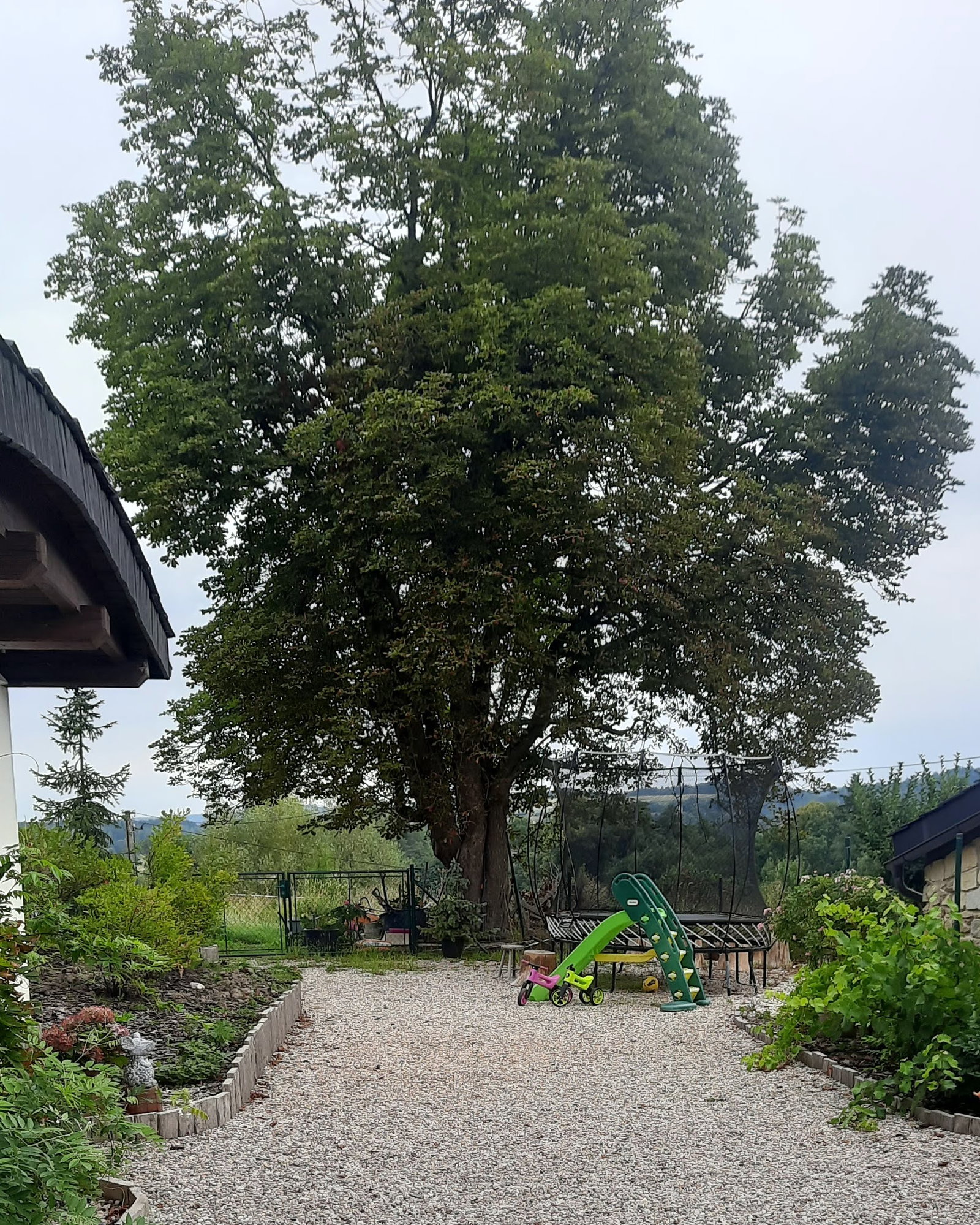 Apartmány Na Dařilce – apartmán, Libchavy – fotka 2