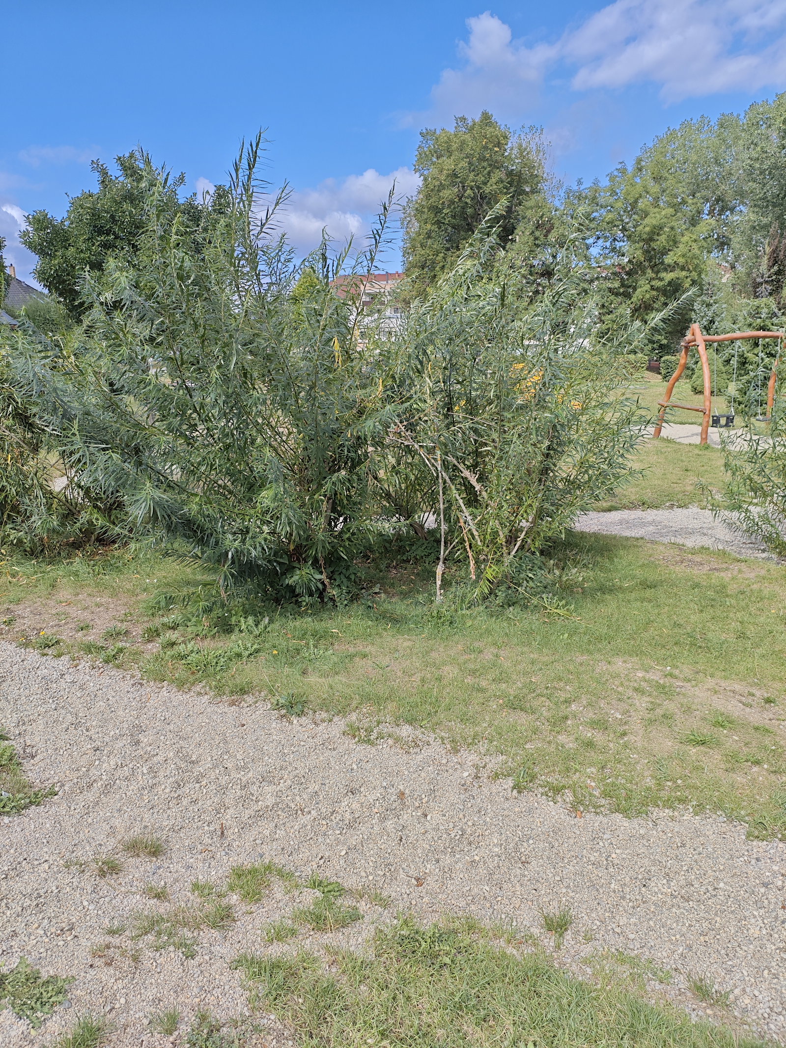 Dětské hřiště Jiráskovo nábřeží Písek – dětská hřiště a herny, Písek – fotka 4