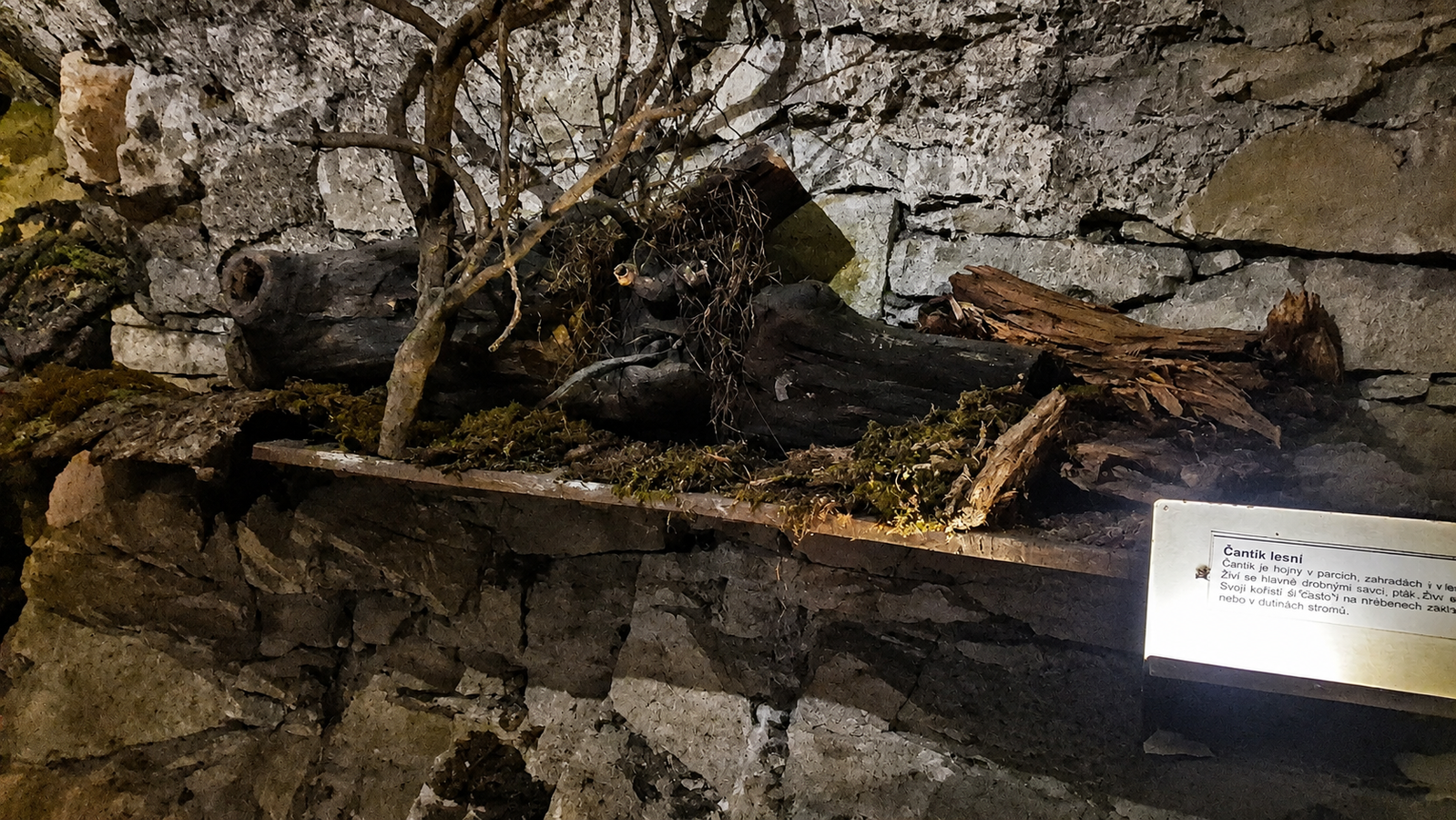 Strašidelná jeskyně – jeskyně, Letohrad – fotka 3