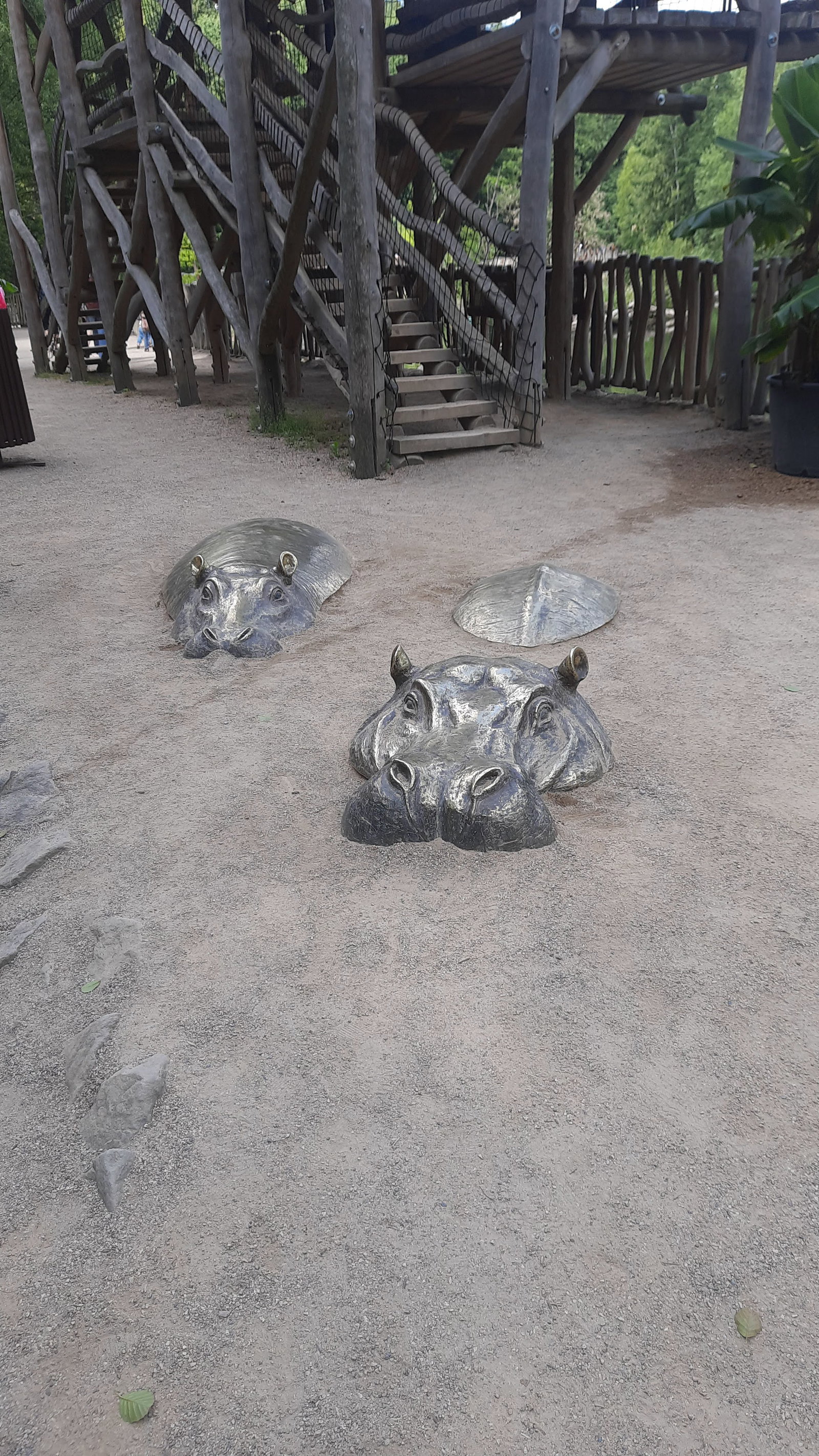 Safari Park Dvůr Králové – zoo a farmy, Dvůr Králové nad Labem – fotka 10