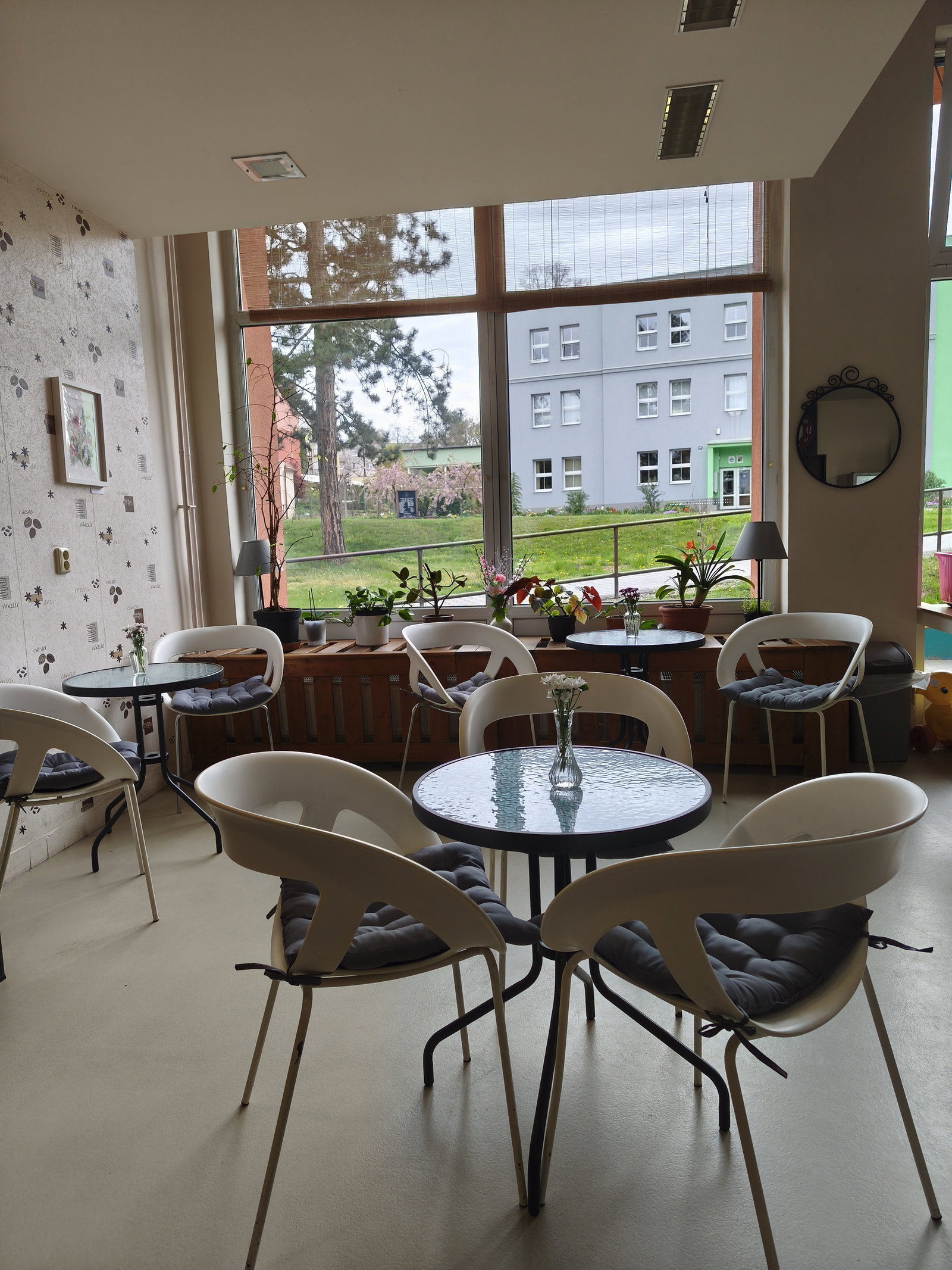 Café Stories – restaurace, kavárny, cukrárny, Rychvald – fotka 2