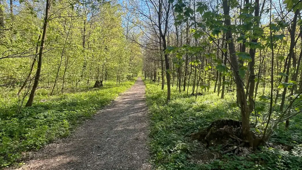 CHKO Litovelské pomoraví – příroda, Litovel