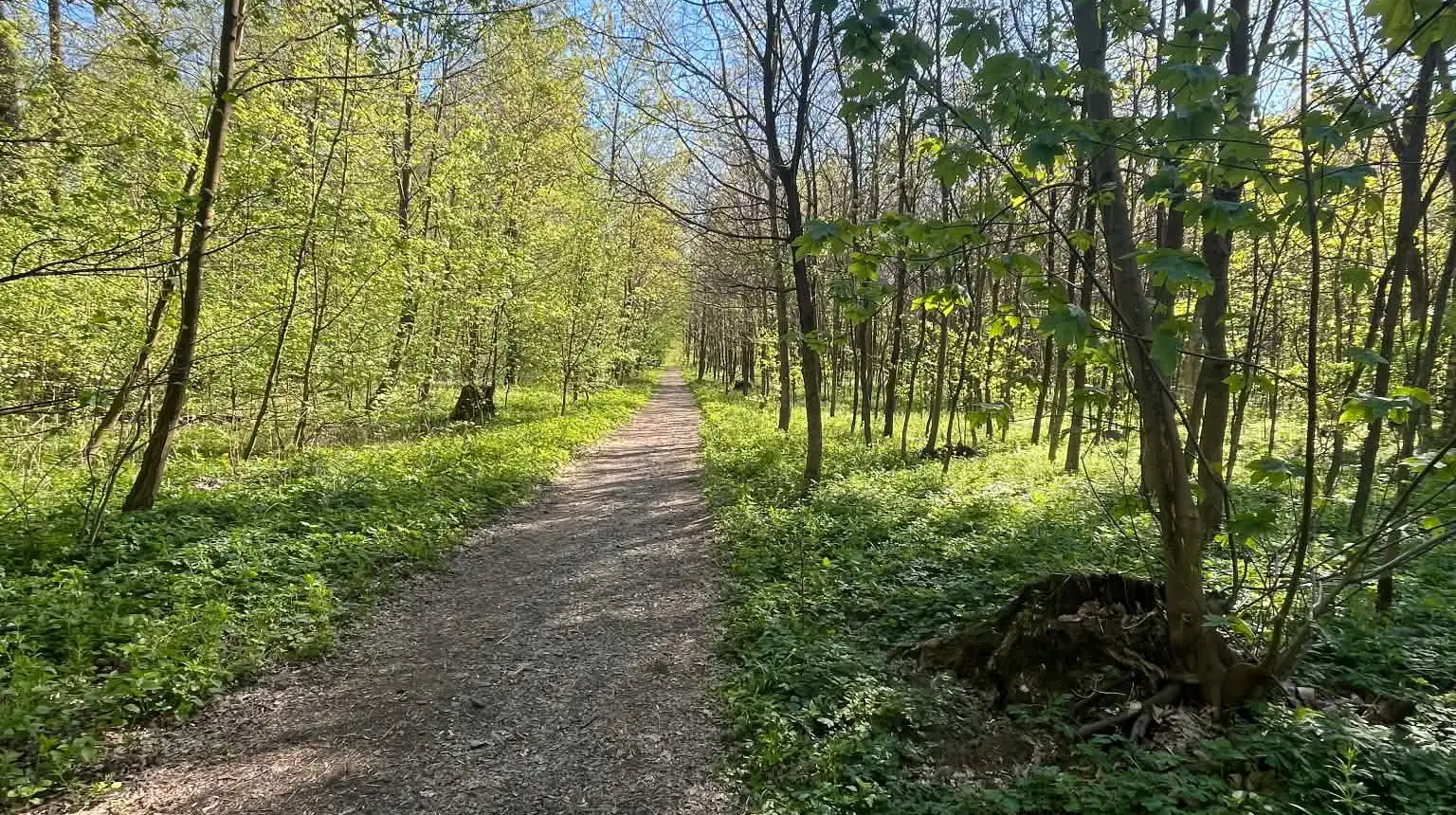 CHKO Litovelské pomoraví – příroda, Litovel
