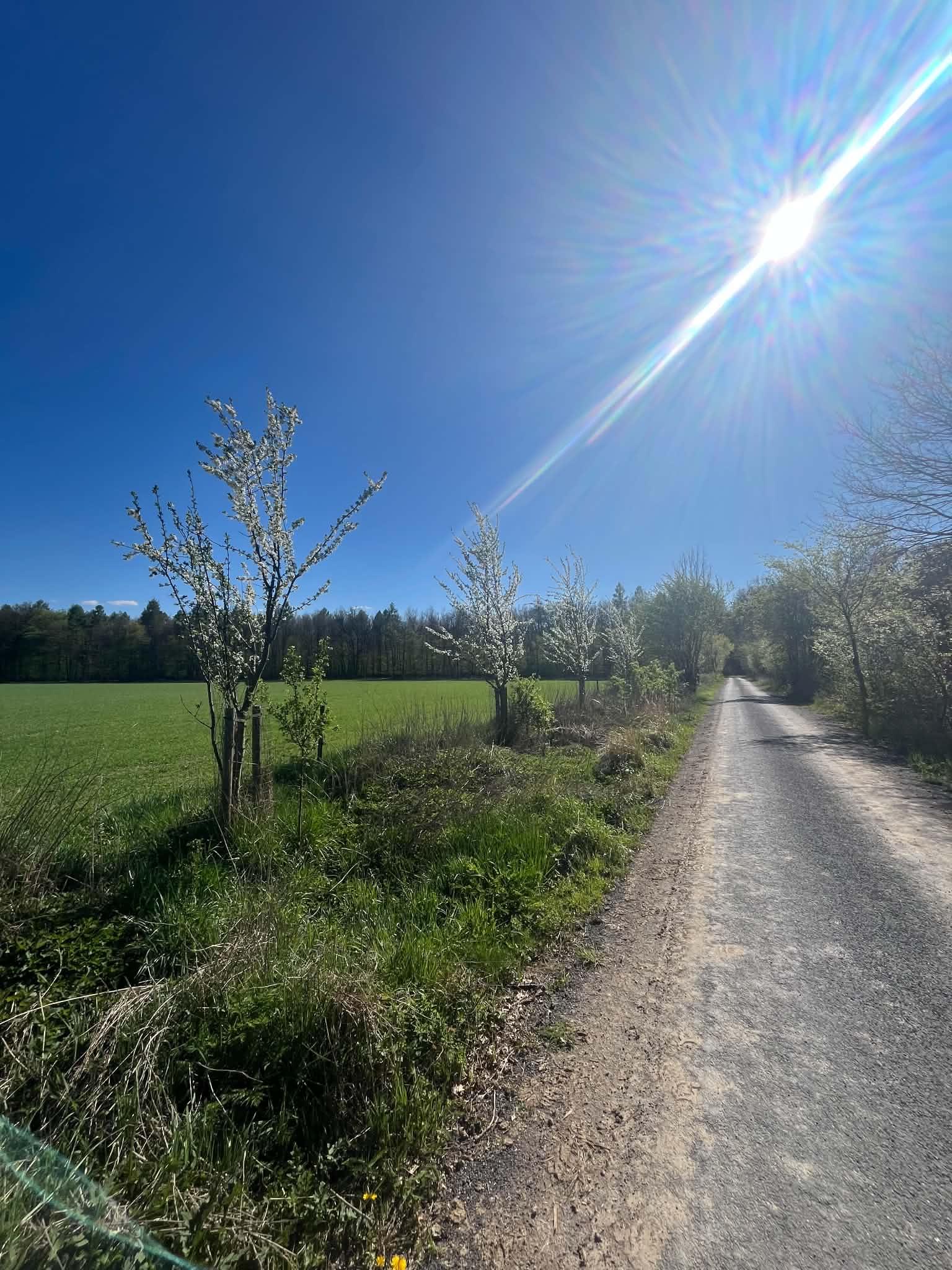 CHKO Litovelské pomoraví – příroda, Litovel – fotka 3