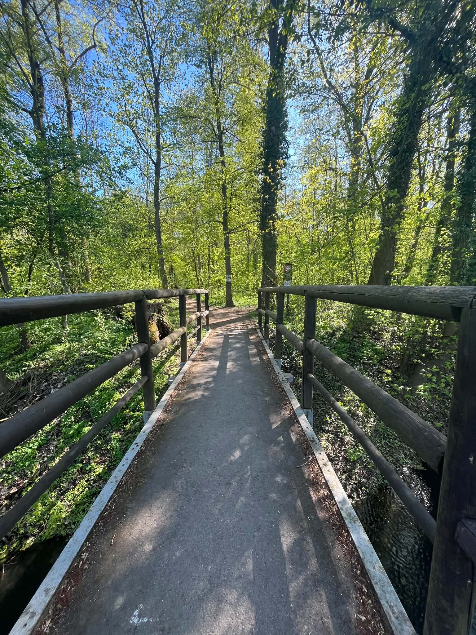CHKO Litovelské pomoraví – příroda, Litovel – fotka 5