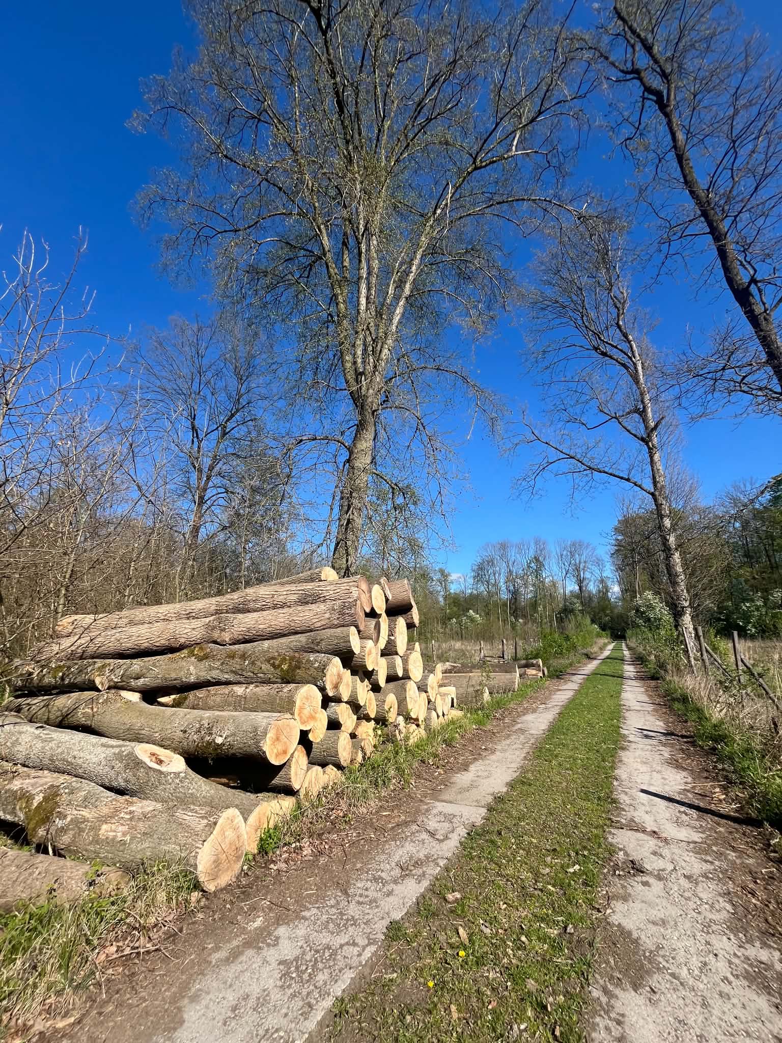 CHKO Litovelské pomoraví – příroda, Litovel – fotka 6